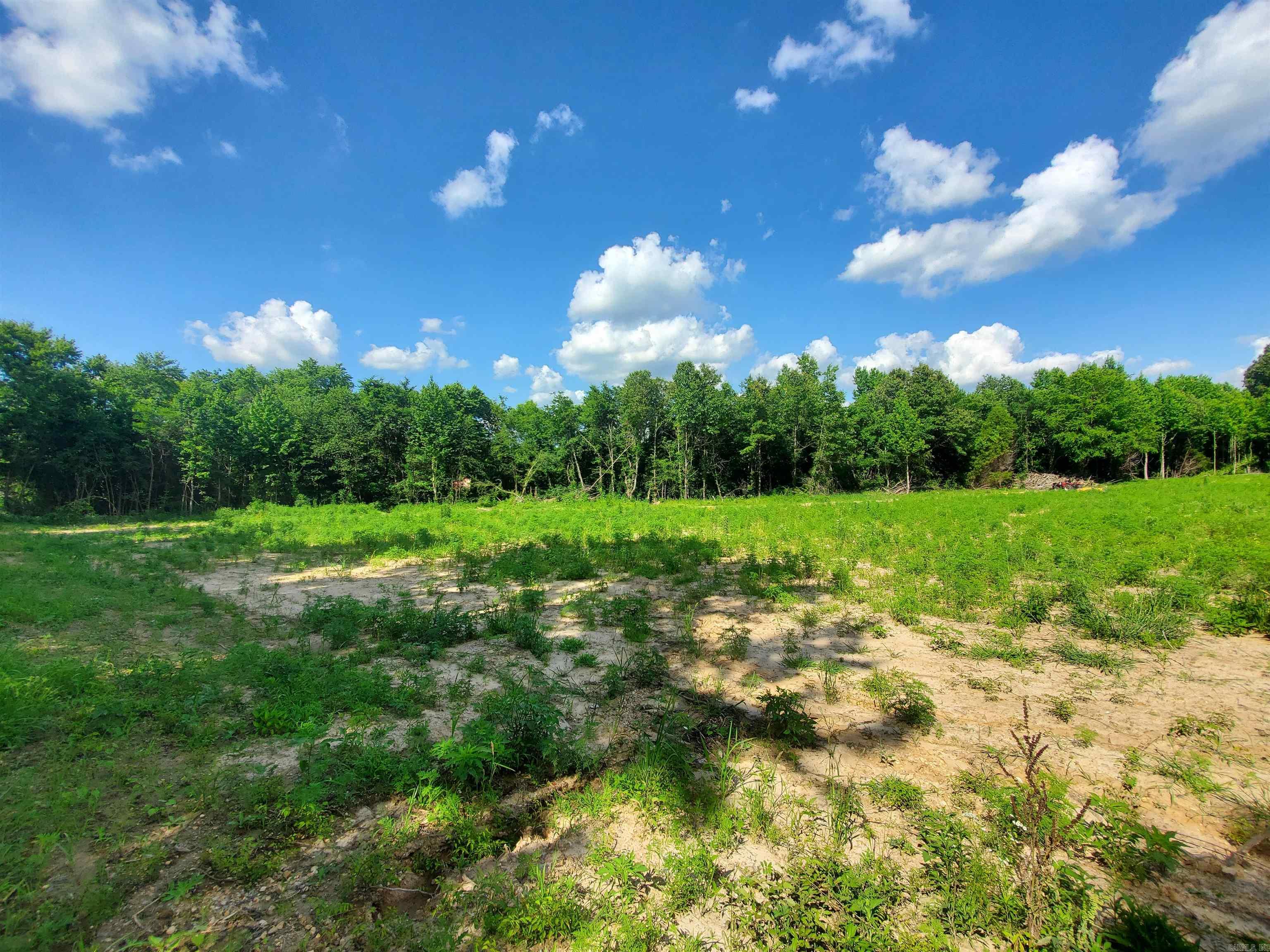 1306 CR 461  Piggott, AR