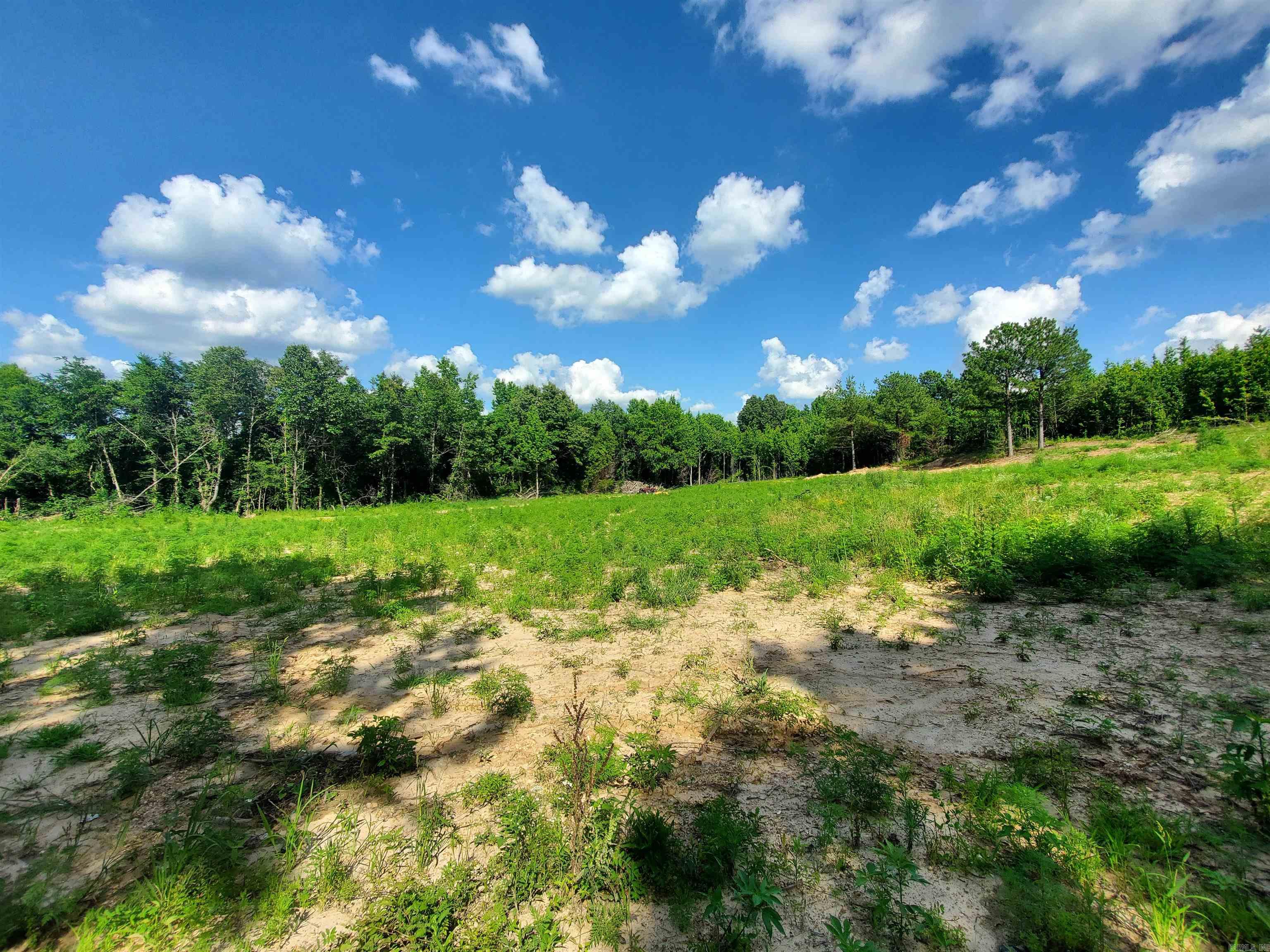 1306 CR 461  Piggott, AR