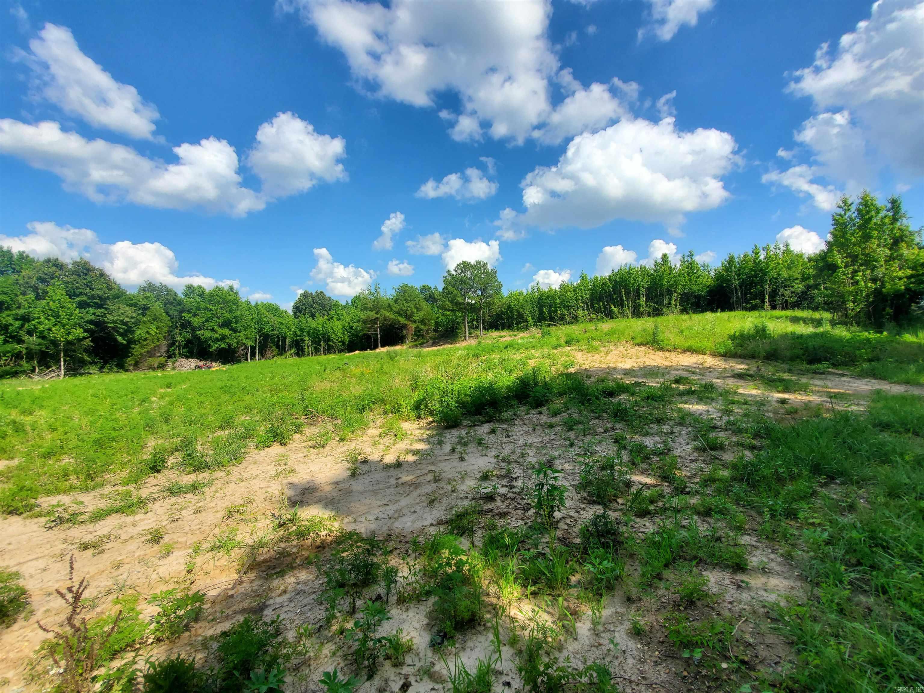 1306 CR 461  Piggott, AR