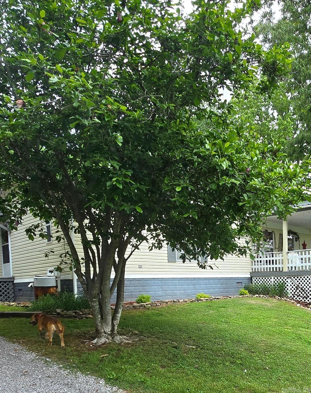 725 Pfeiffer  Batesville, AR