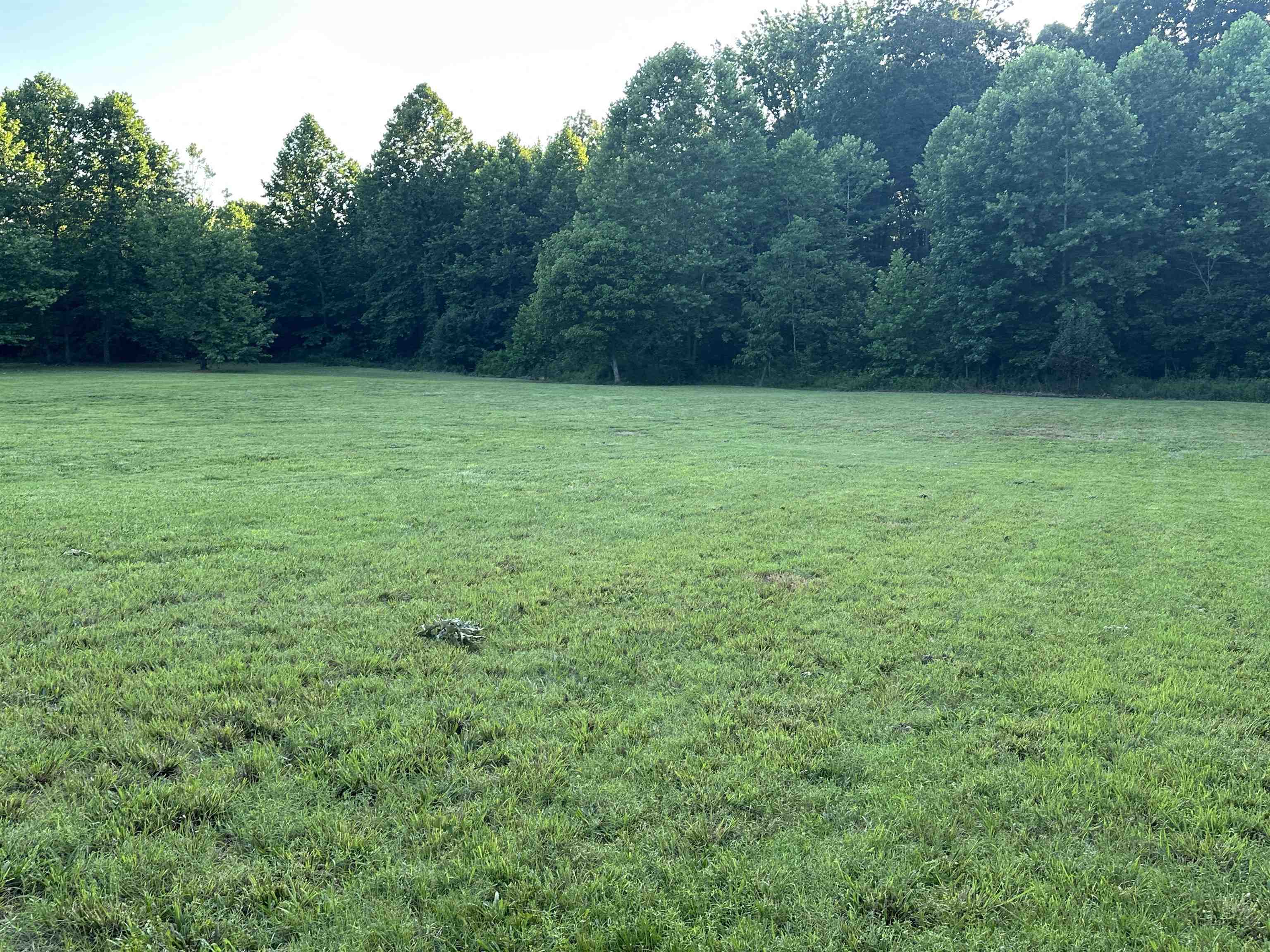10 Acres County road 753  Jonesboro, AR