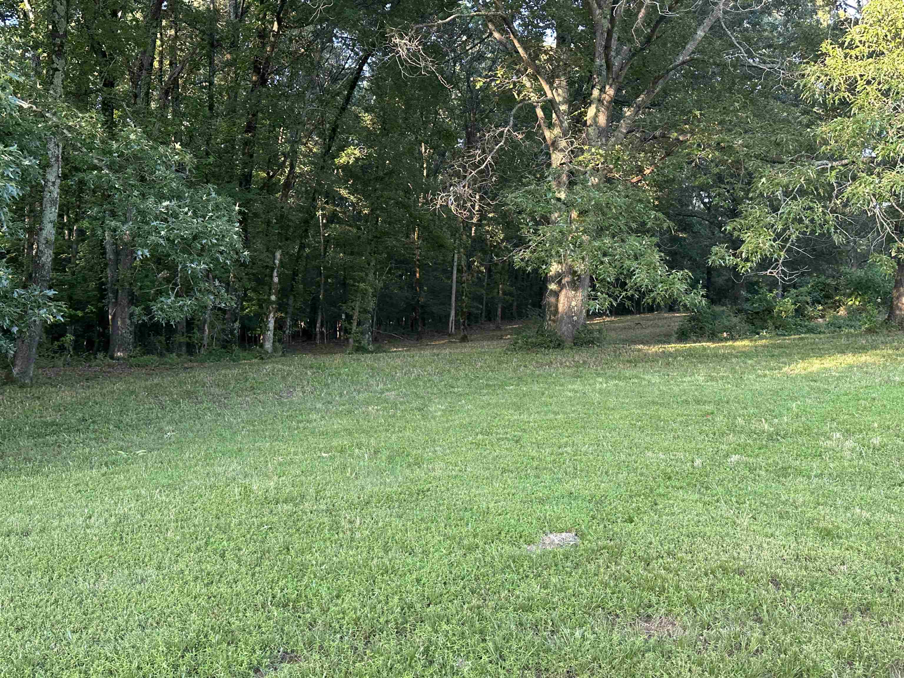 10 Acres County road 753  Jonesboro, AR