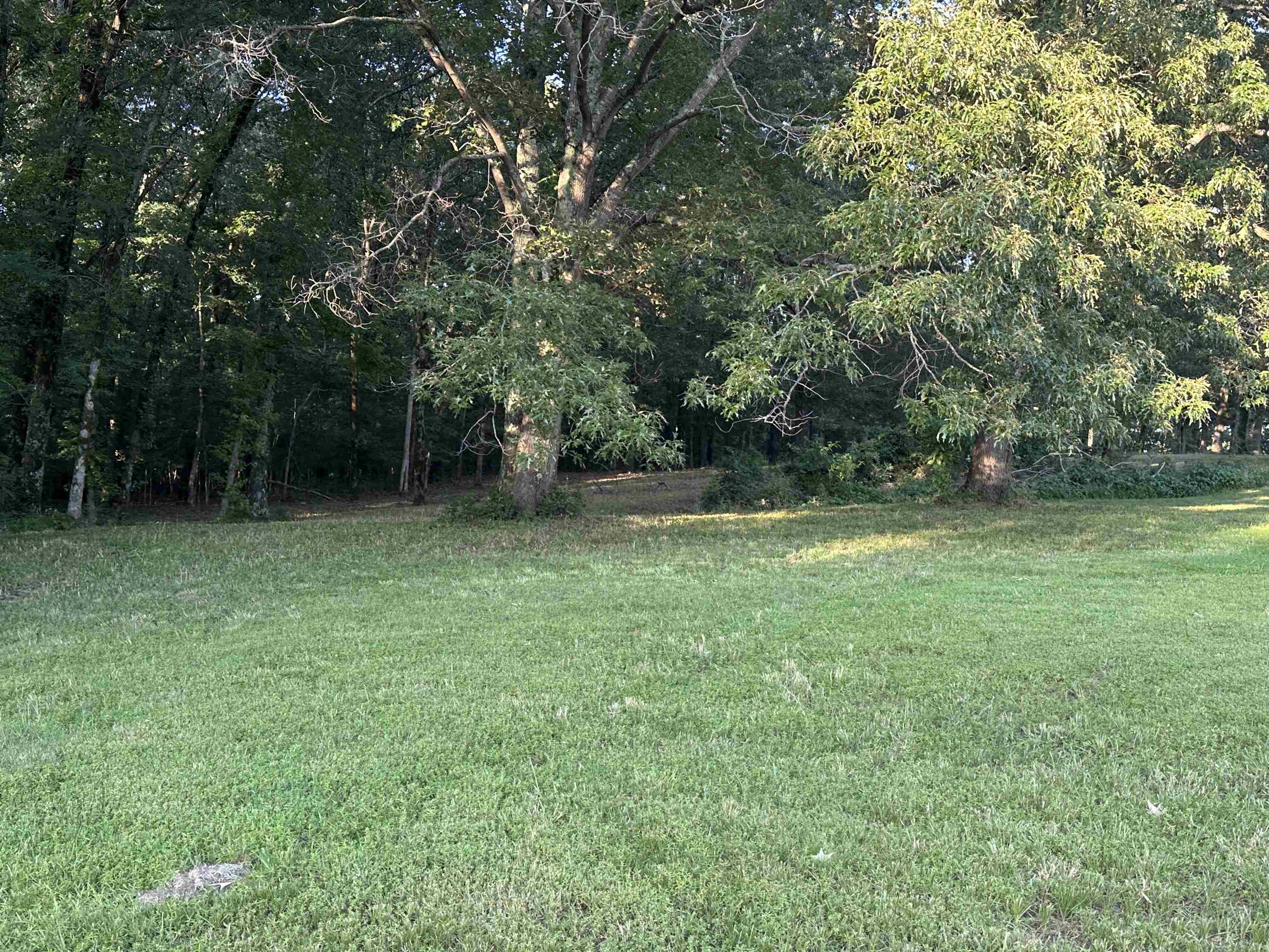 10 Acres County road 753  Jonesboro, AR