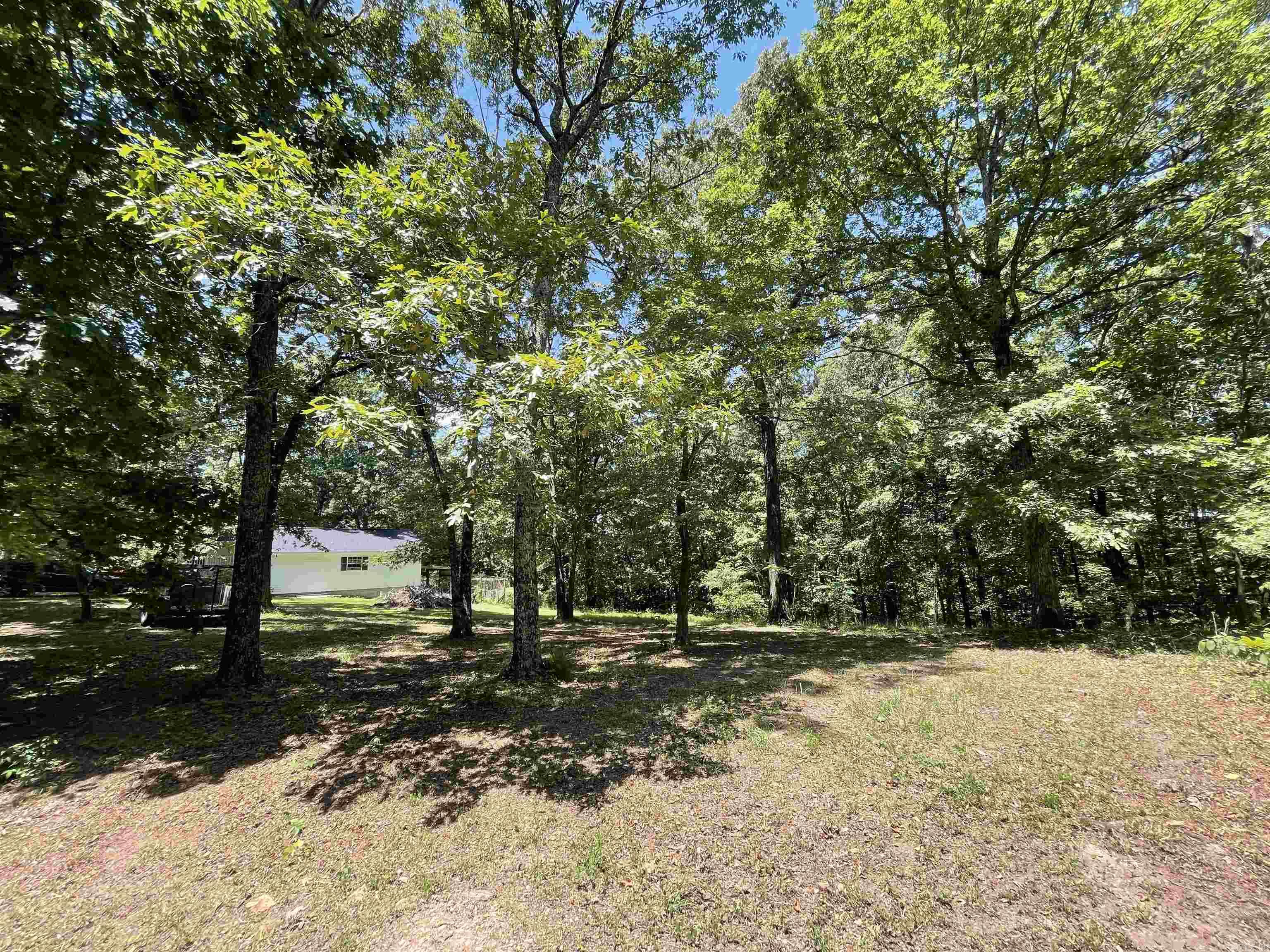 287 Country Charm  Mountain View, AR