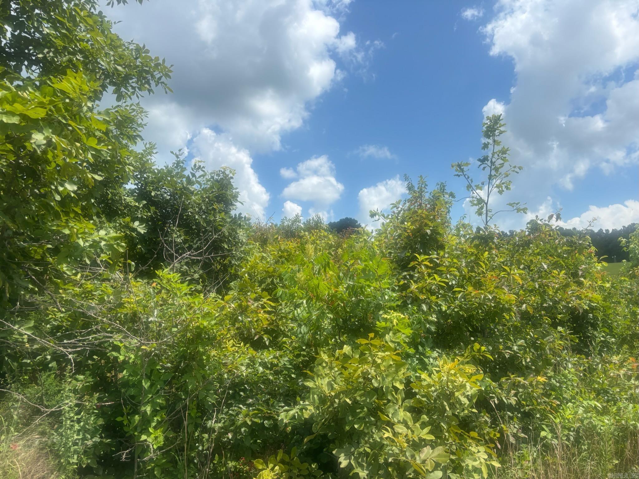  Alum Cave  Bee Branch, AR