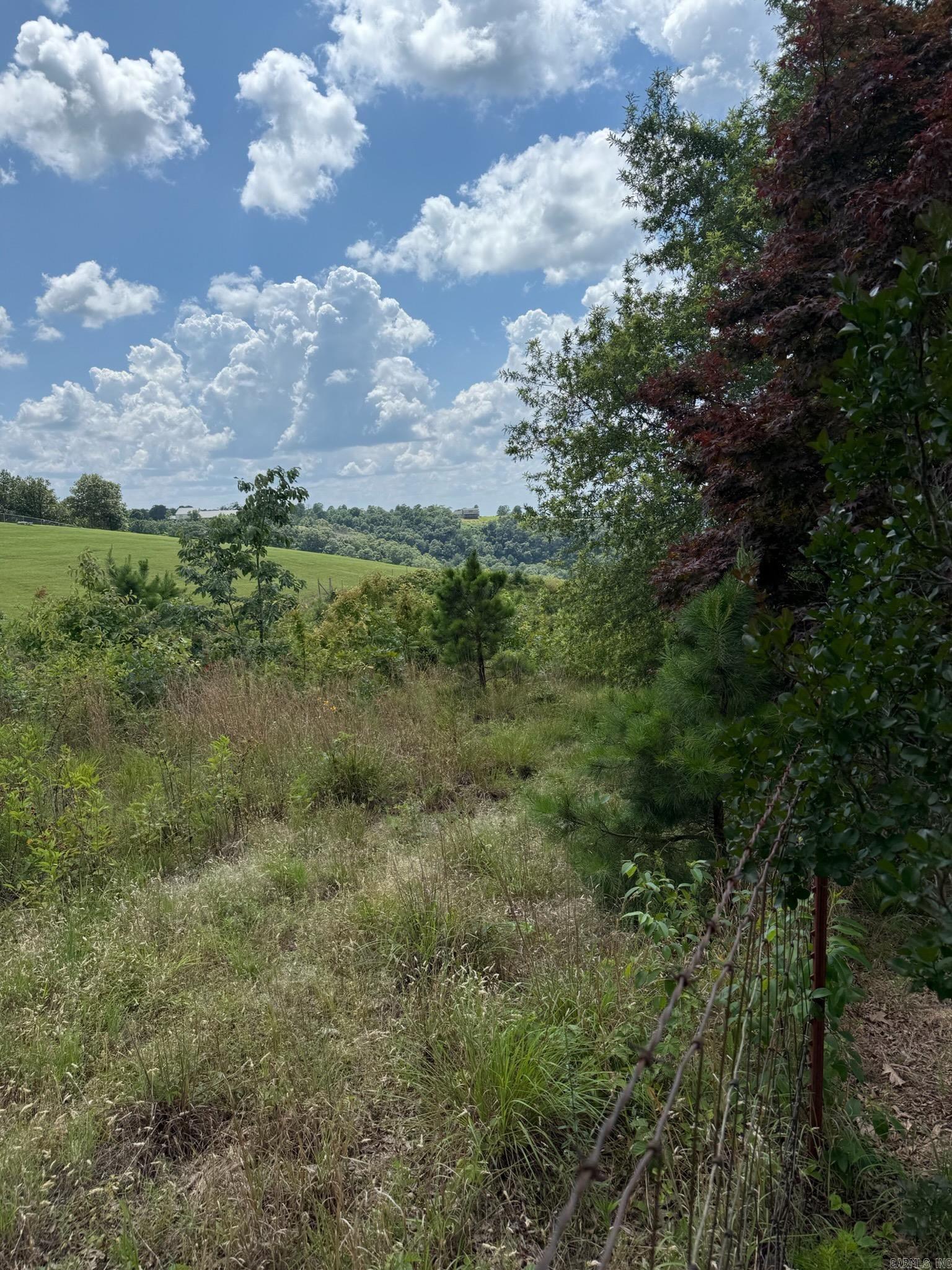  Alum Cave  Bee Branch, AR