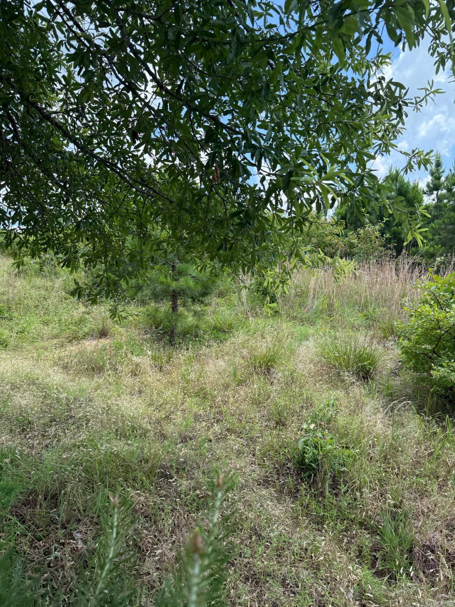 Alum Cave  Bee Branch, AR