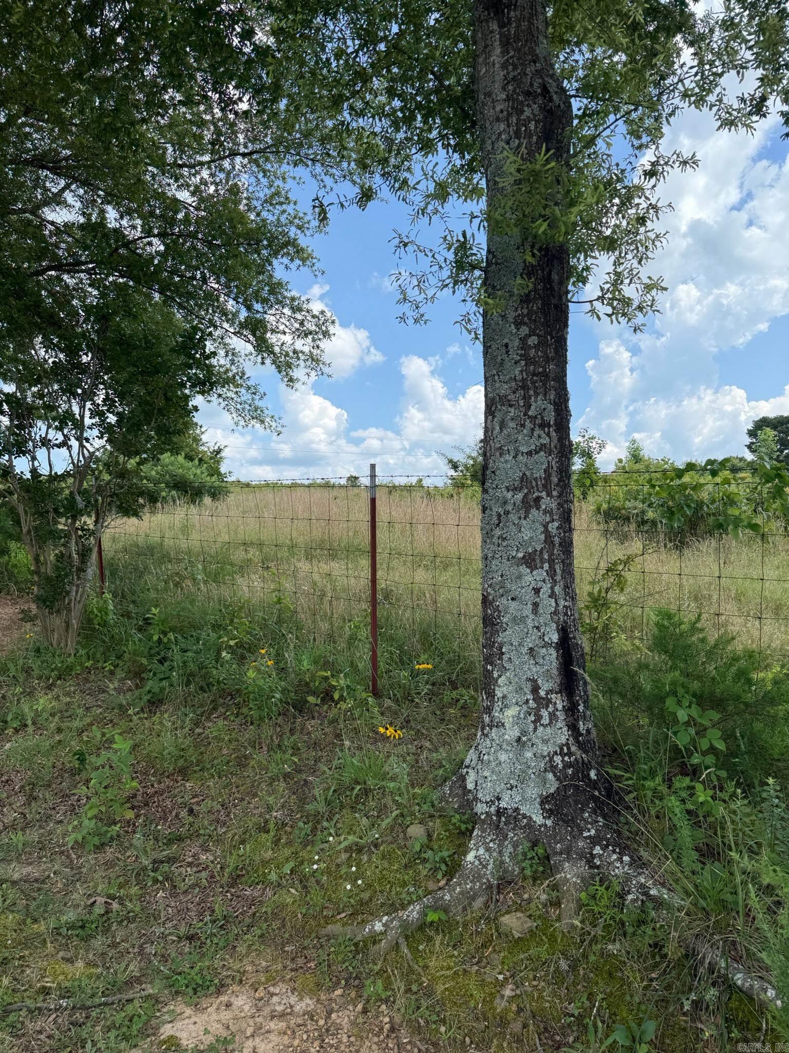  Alum Cave  Bee Branch, AR