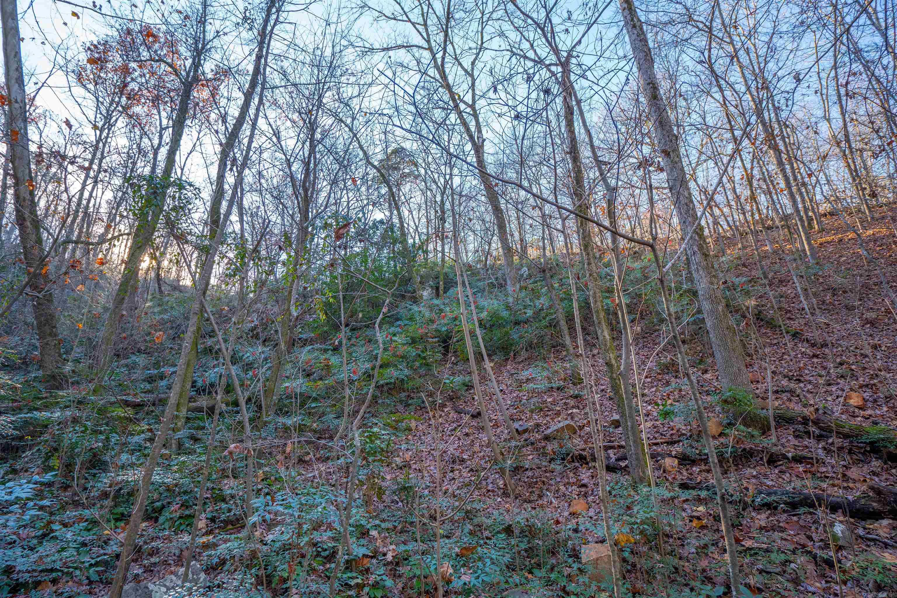 10 Greathouse  Little Rock, AR