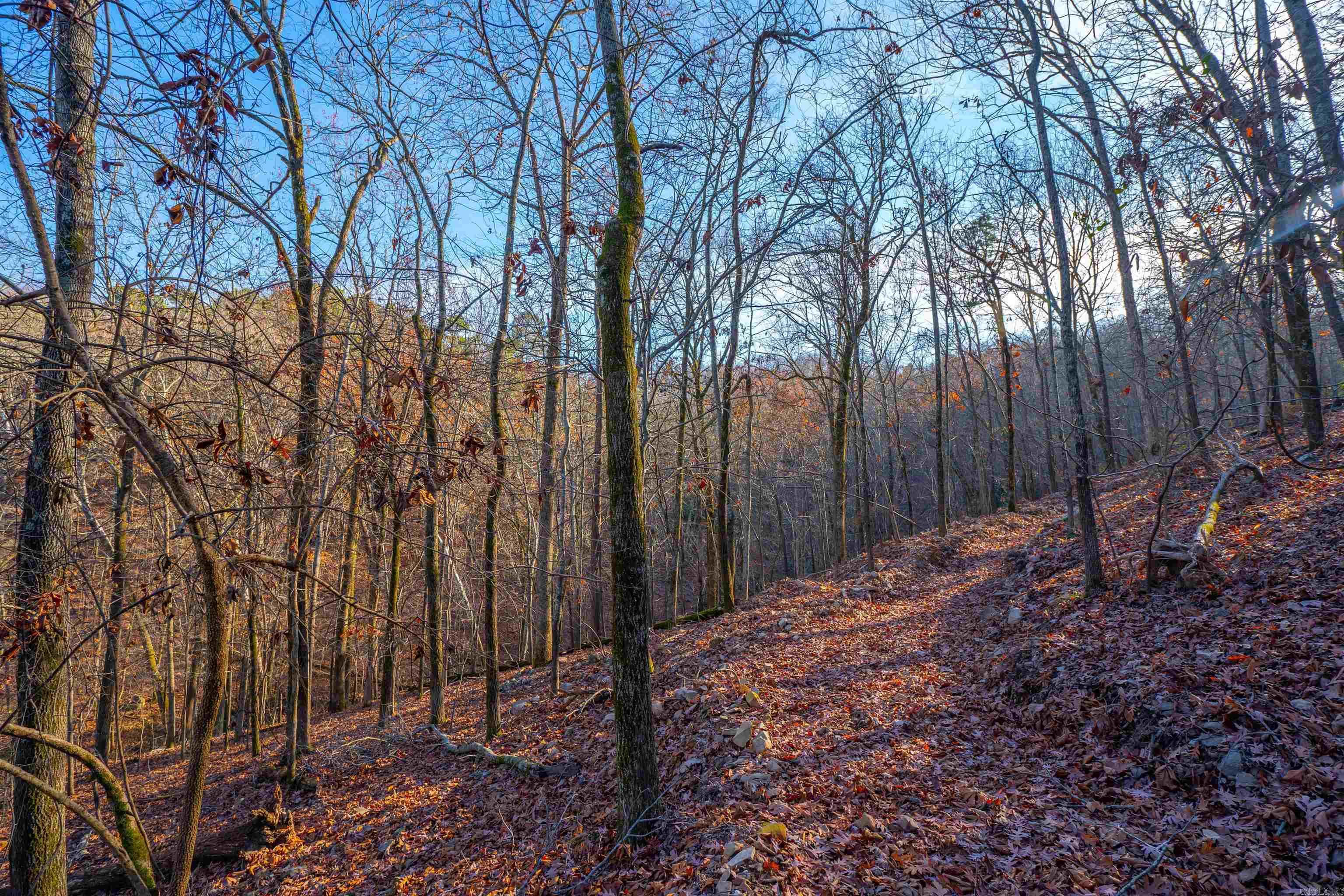10 Greathouse  Little Rock, AR