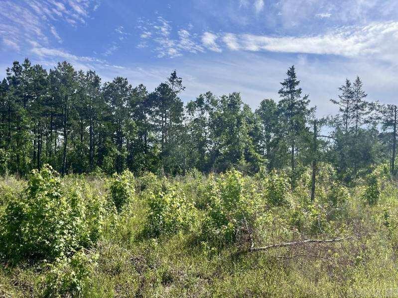 4061 Miller County 32  Doddridge, AR