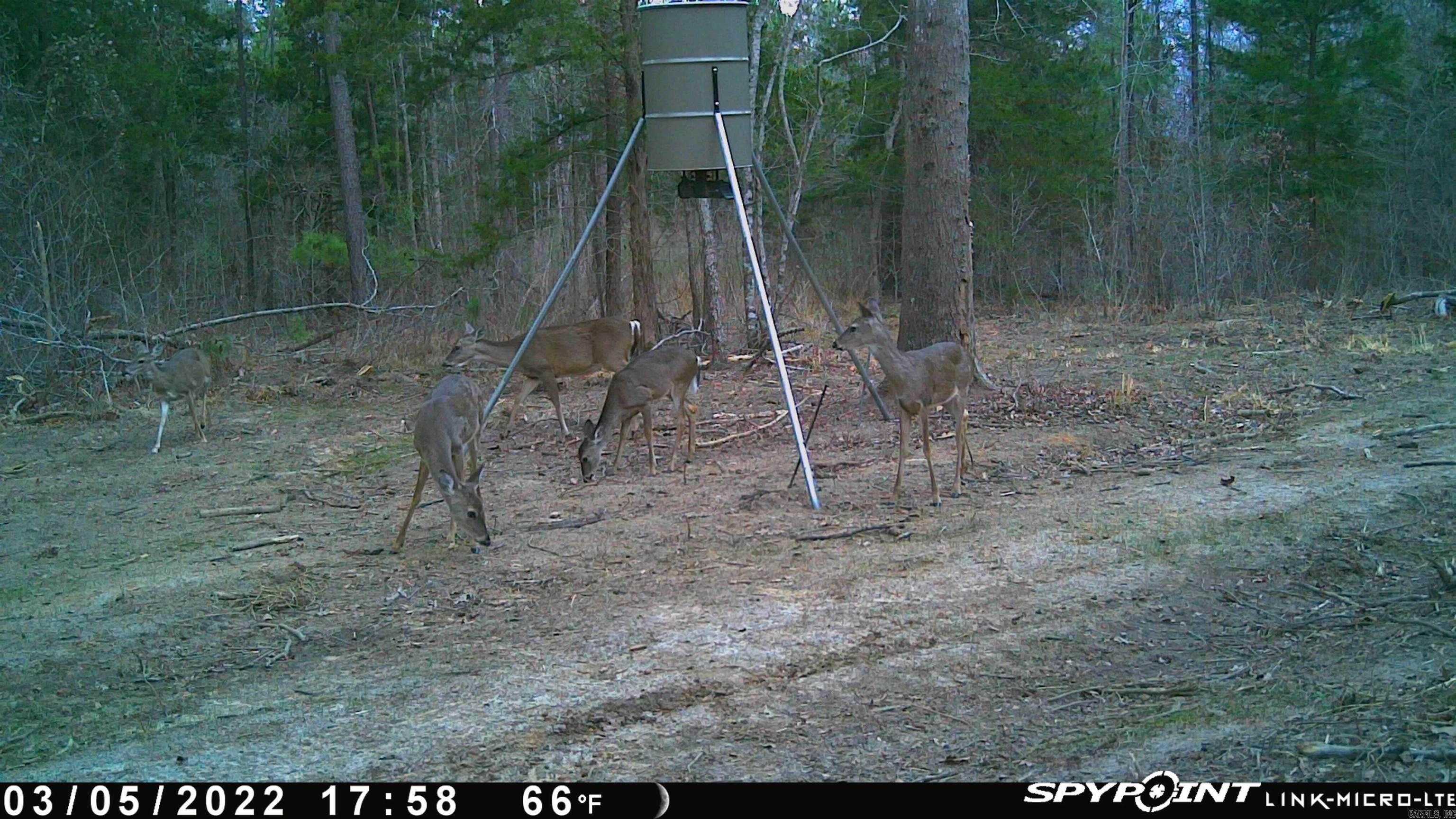 4061 Miller County 32  Doddridge, AR