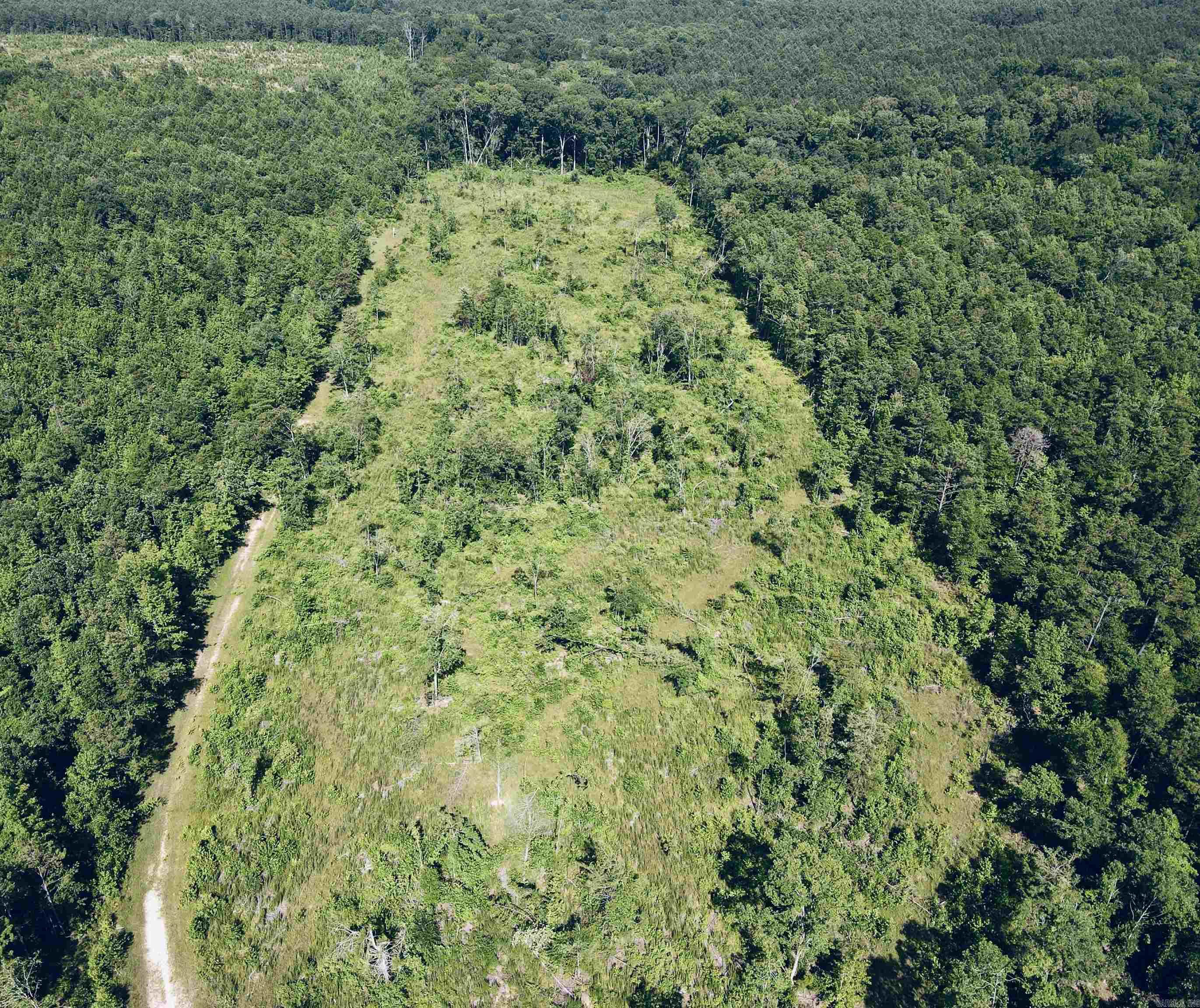 4061 Miller County 32  Doddridge, AR