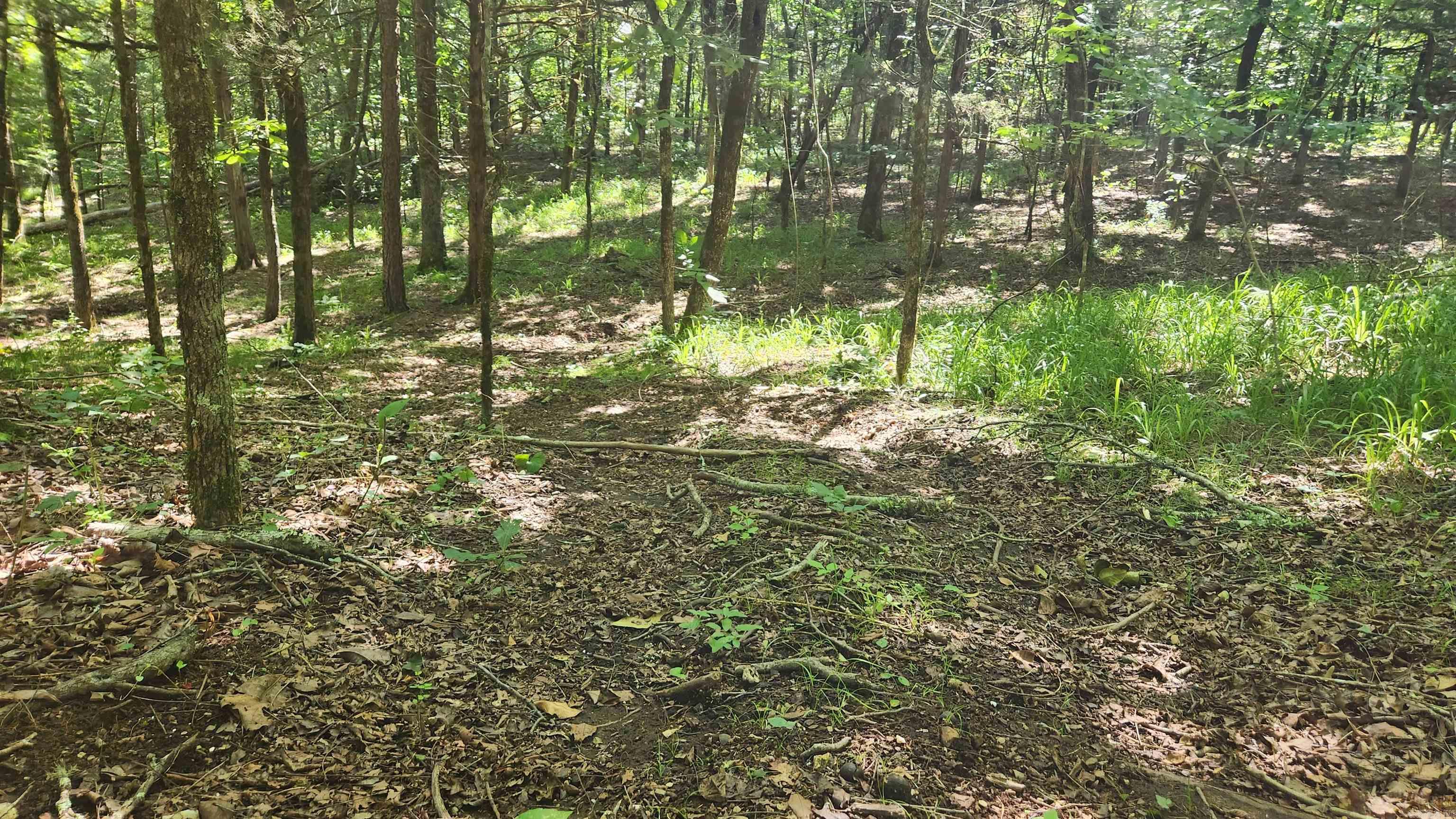 TBD Hickory Hill Lane  Mount Ida, AR