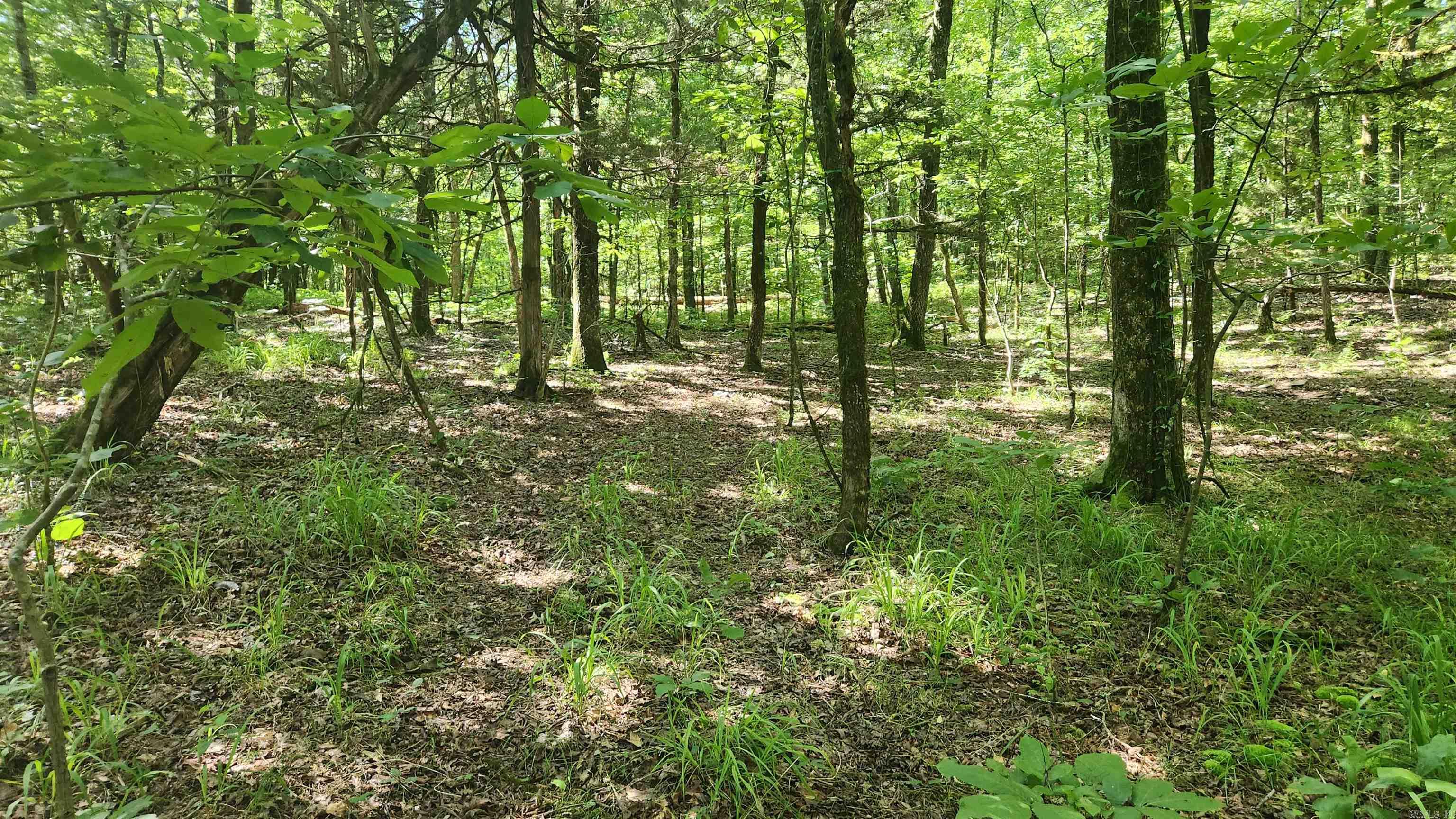 TBD Hickory Hill Lane  Mount Ida, AR