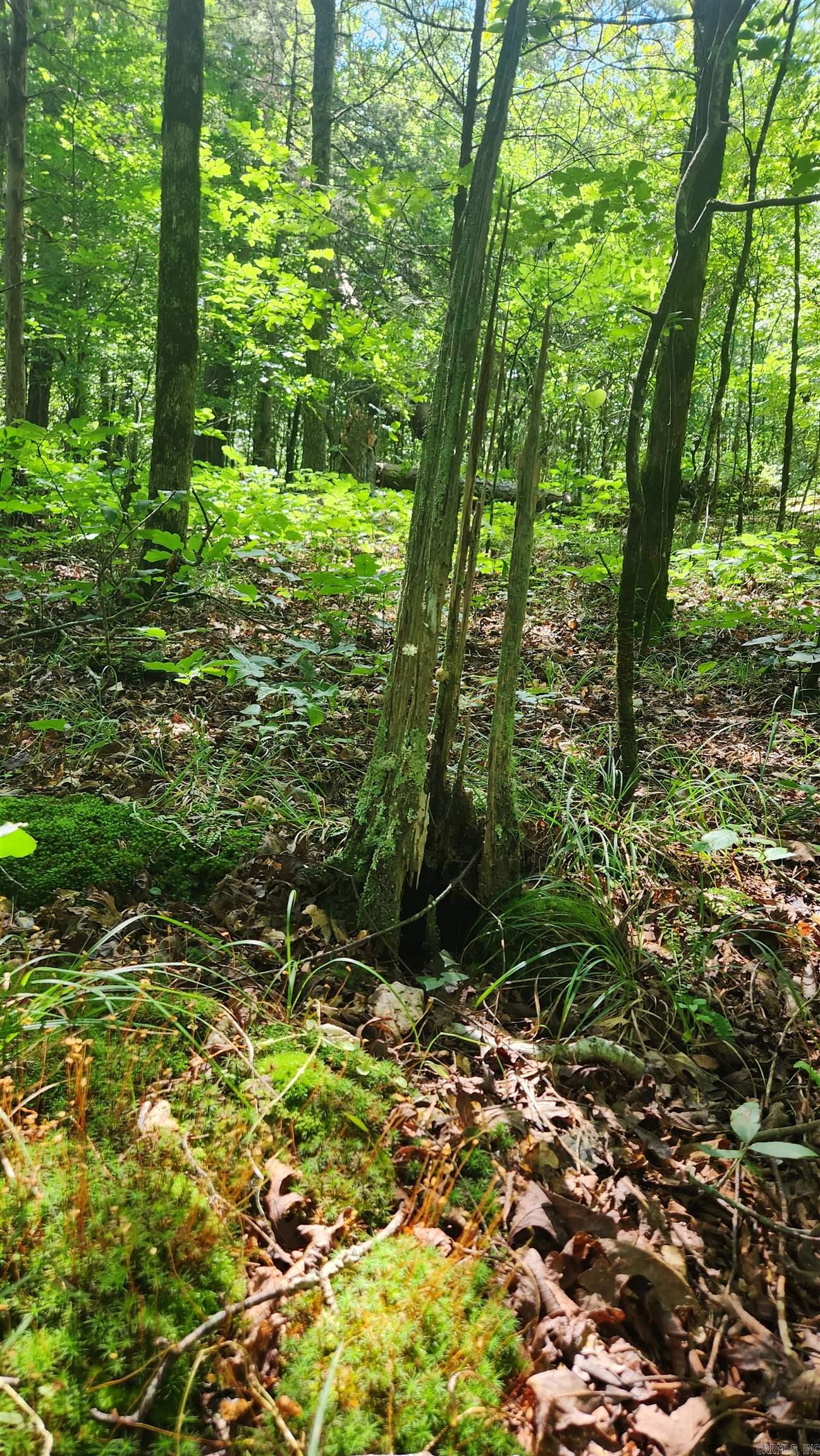 TBD Hickory Hill Lane  Mount Ida, AR