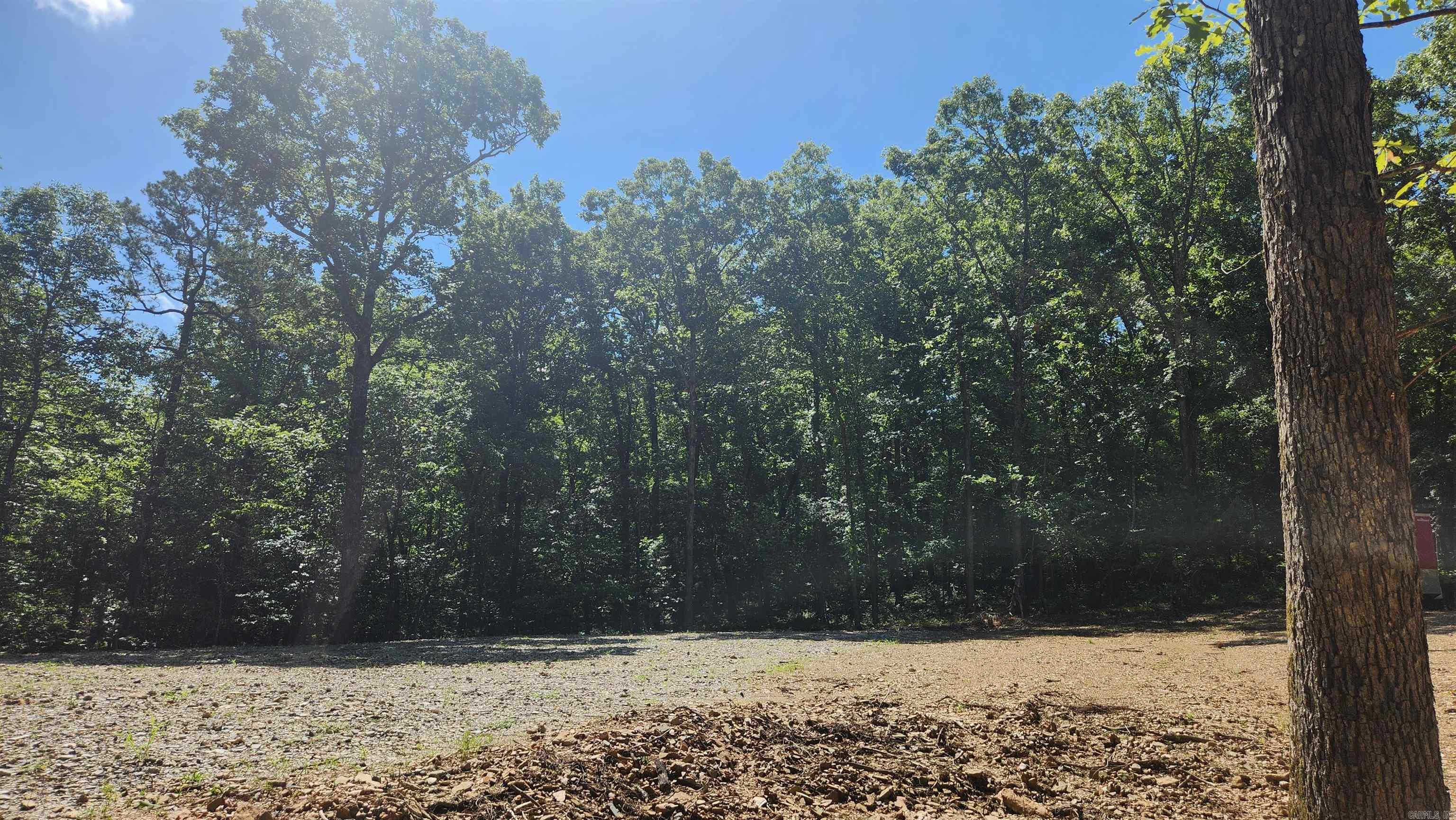 TBD Hickory Hill Lane  Mount Ida, AR