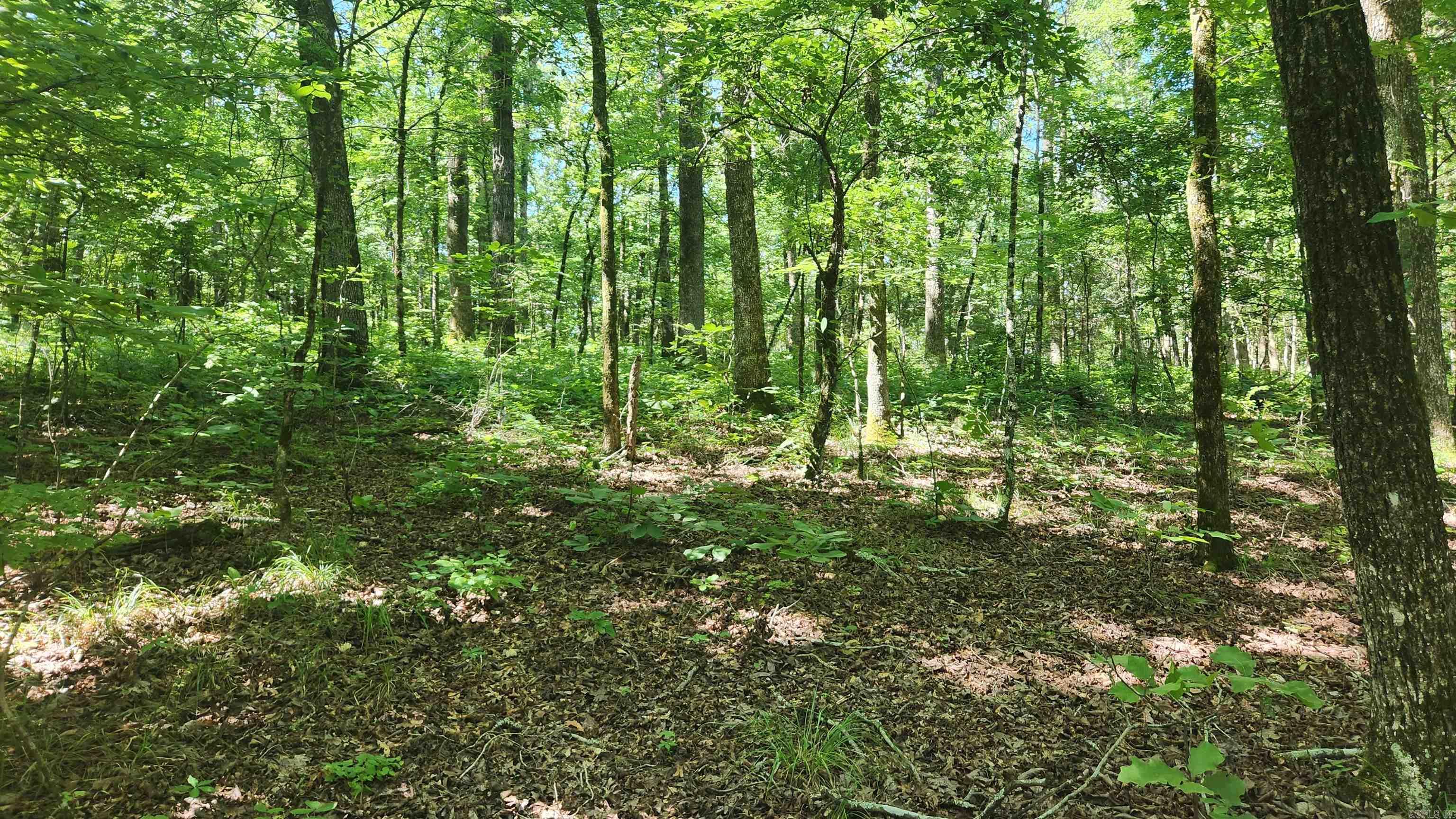 TBD Hickory Hill Lane  Mount Ida, AR
