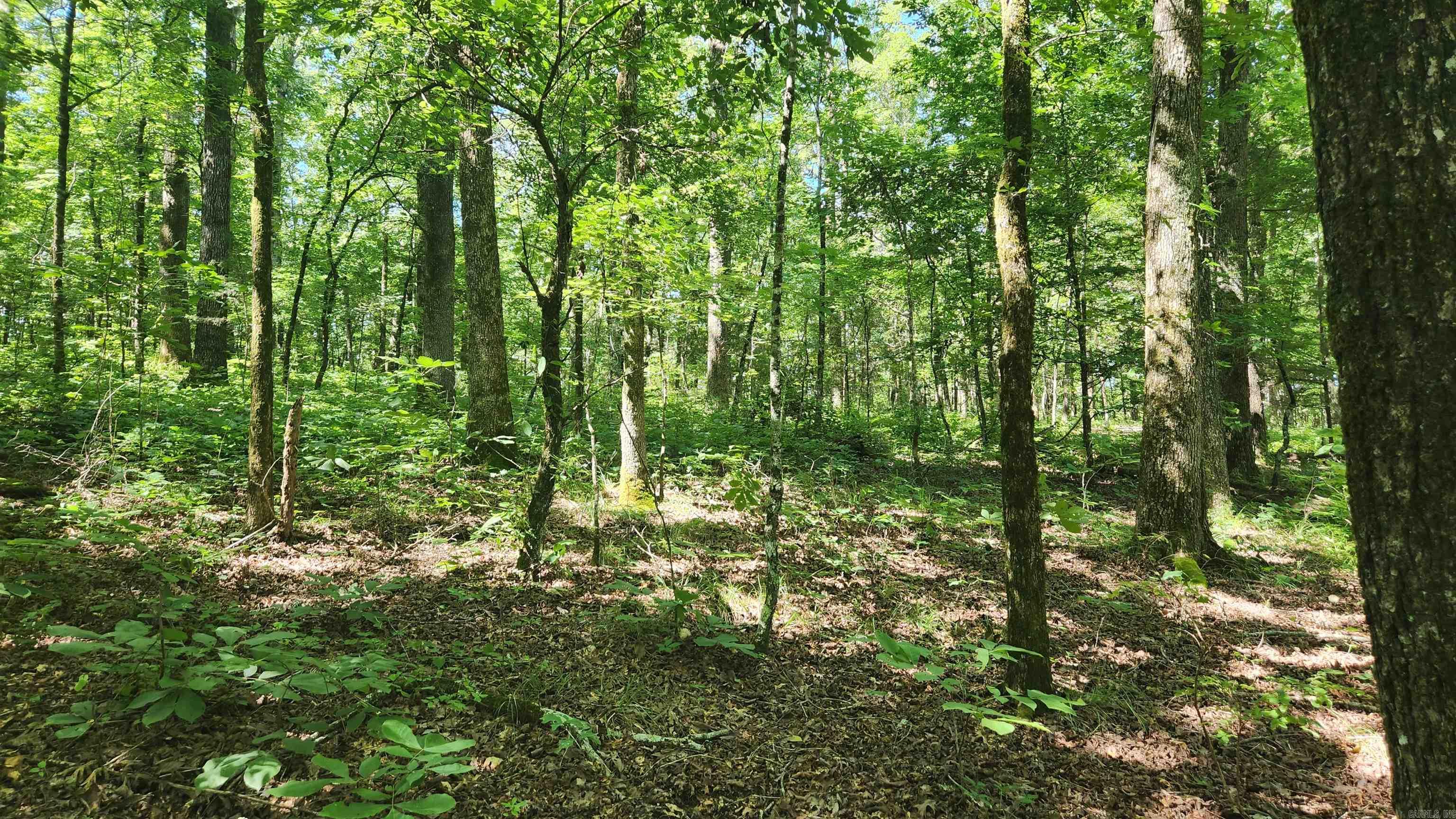 TBD Hickory Hill Lane  Mount Ida, AR