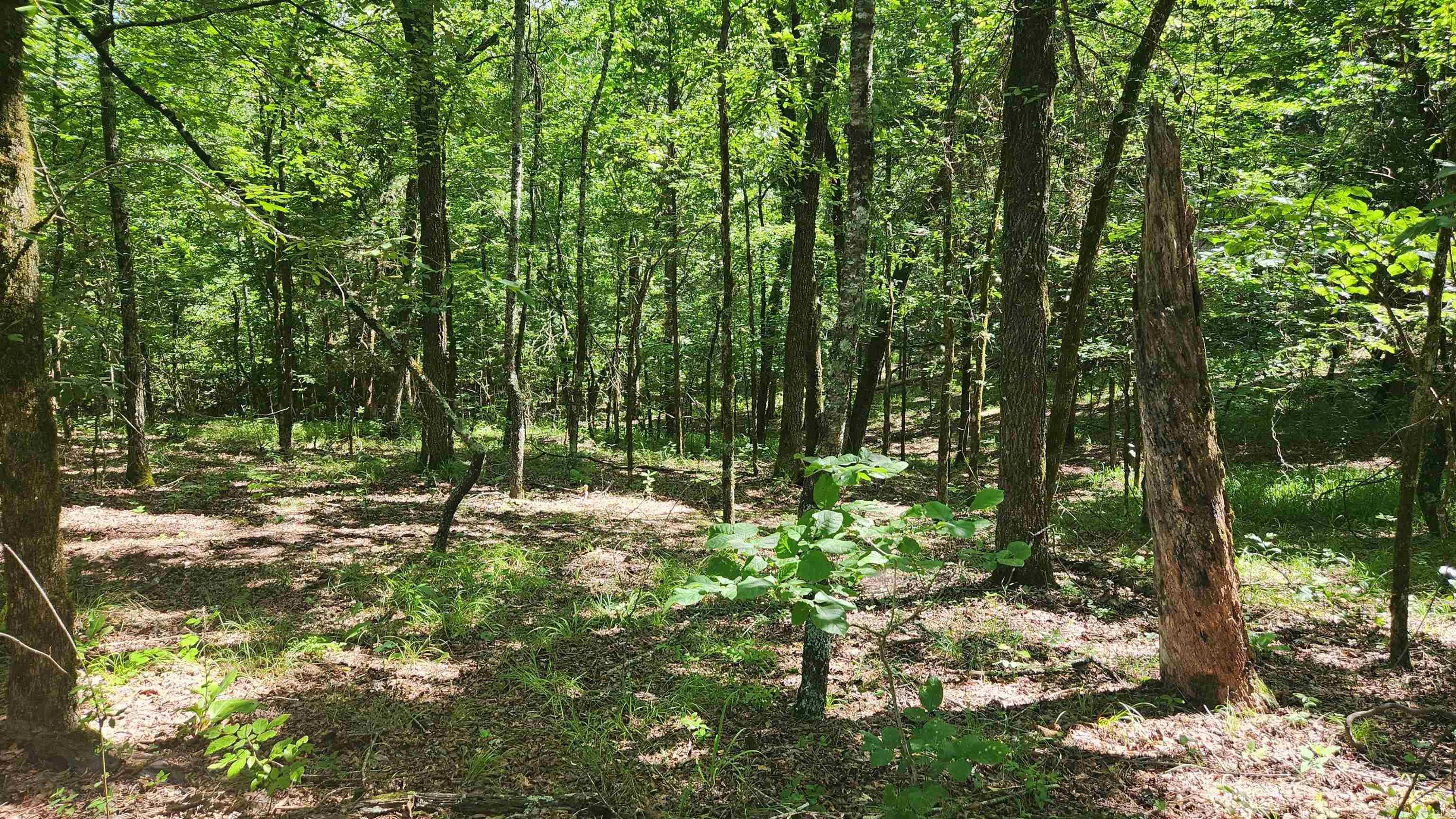 TBD Hickory Hill Lane  Mount Ida, AR