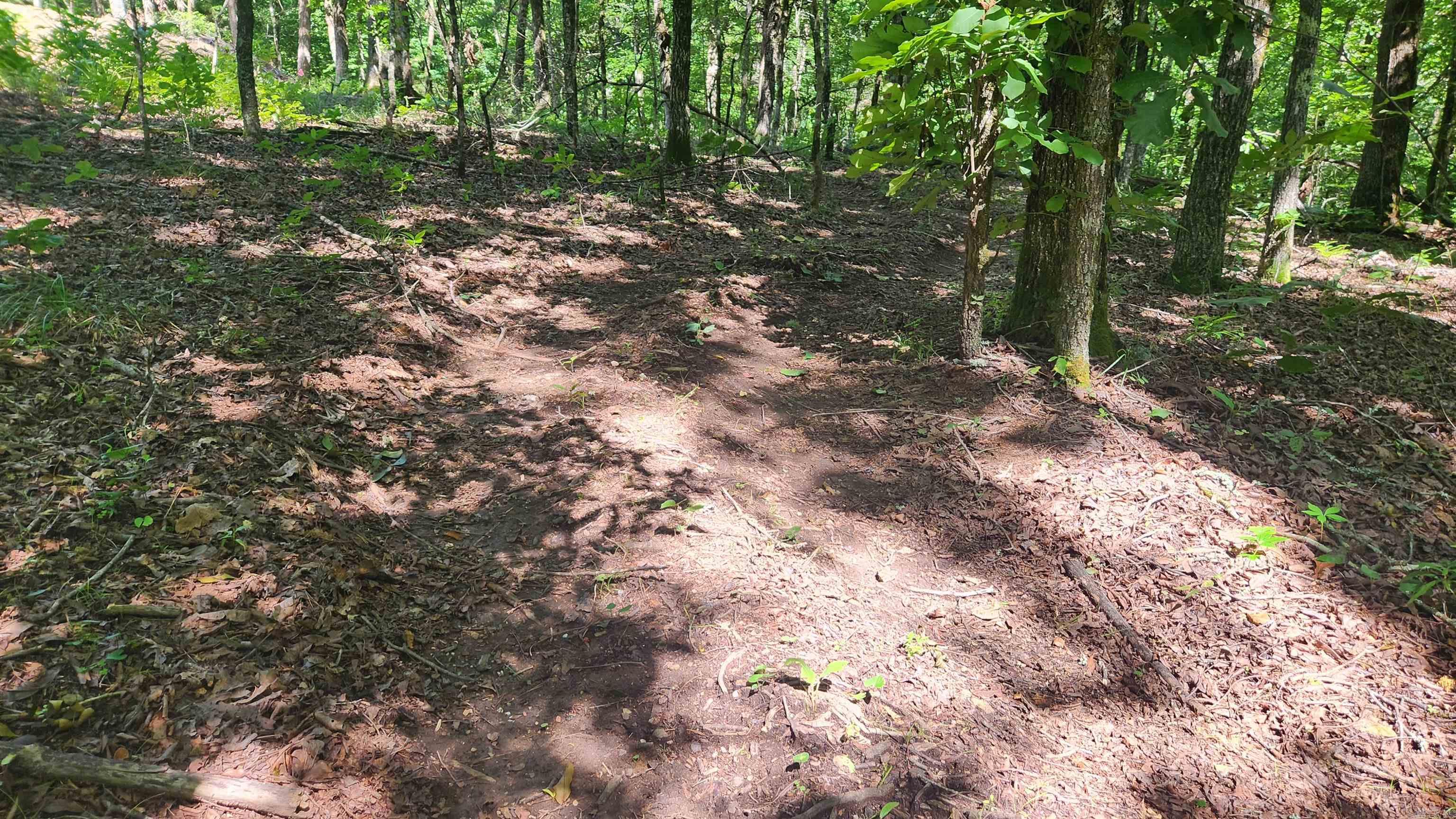 TBD Hickory Hill Lane  Mount Ida, AR