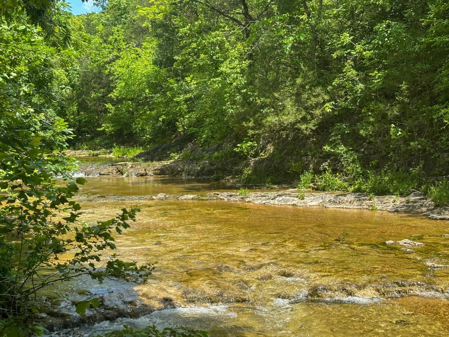 2275 Highway 63  Hardy, AR