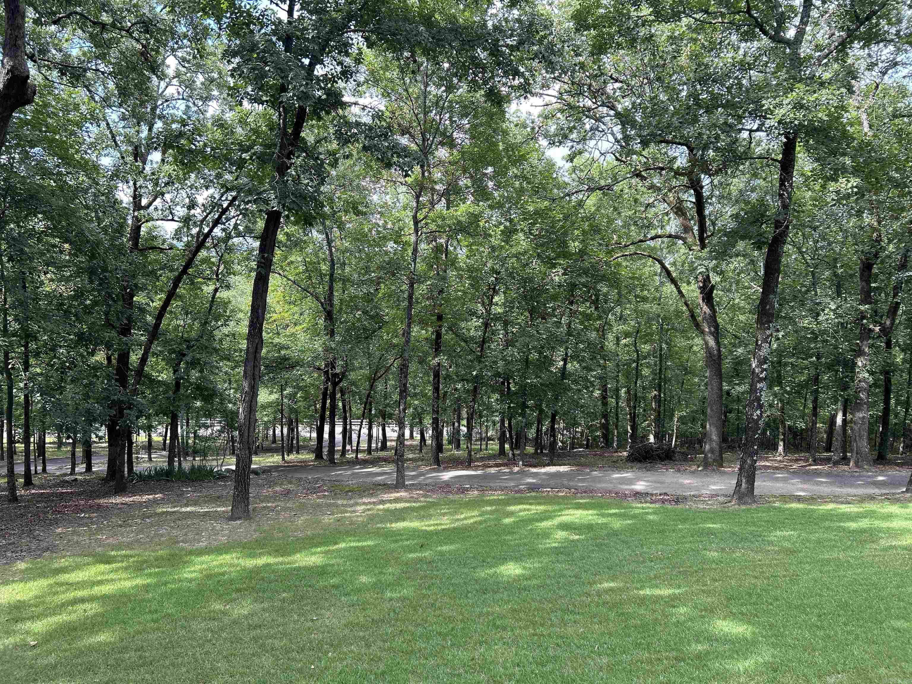 49 Caddo  Conway, AR