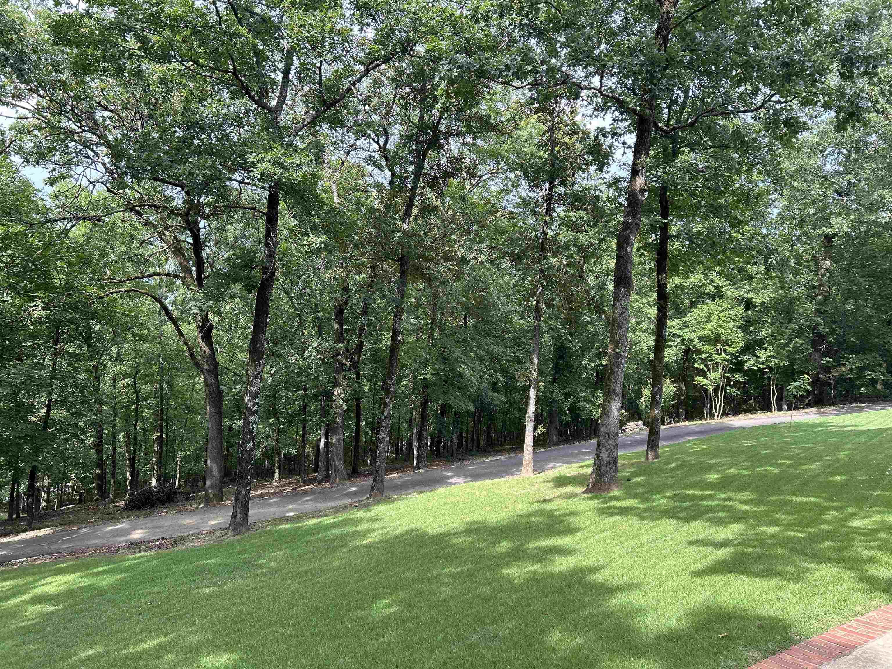 49 Caddo  Conway, AR