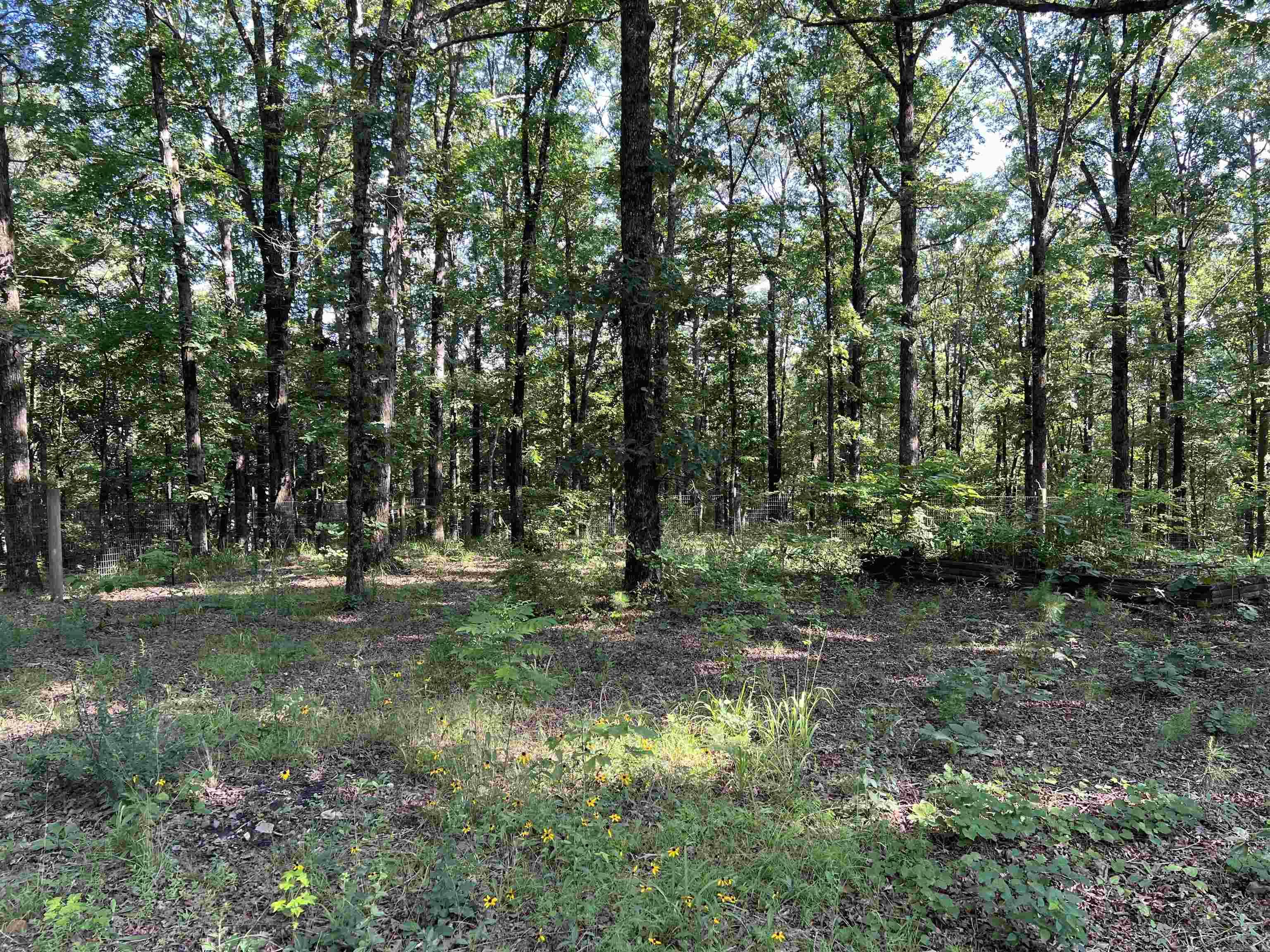 61 Hay  Glenwood, AR