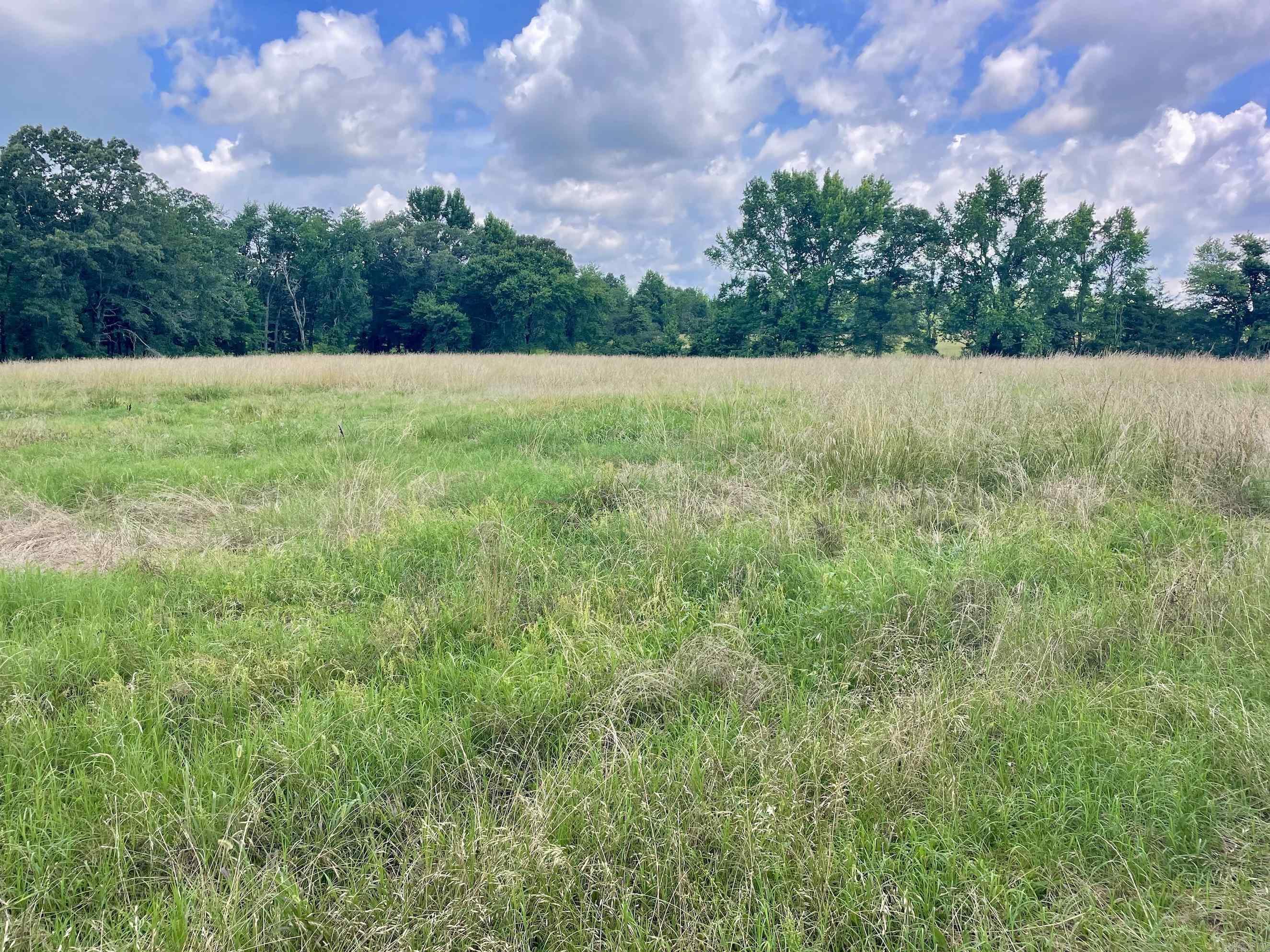 000 Scratch Gravel Road  Damascus, AR