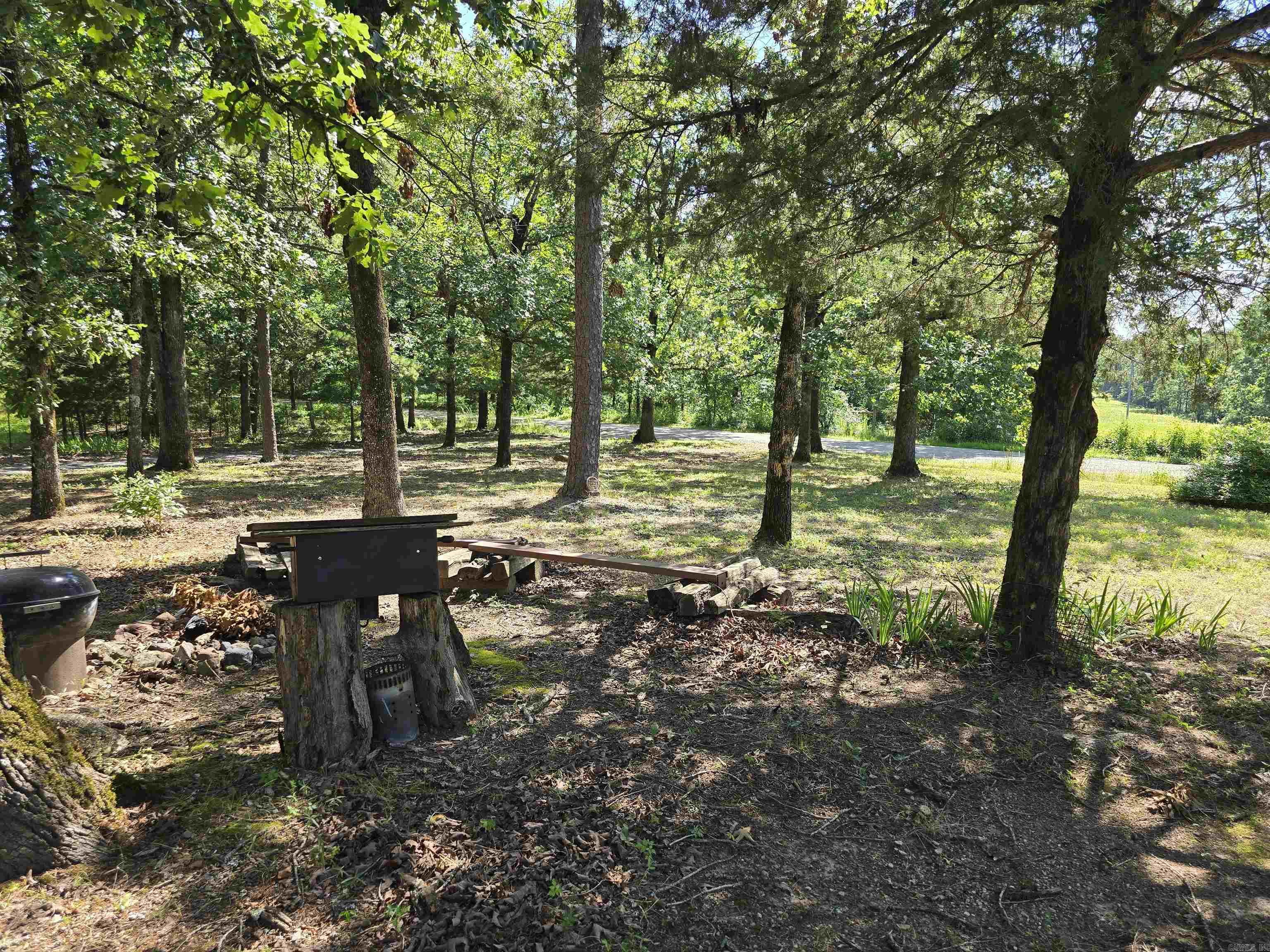 163 Polk Road 659  Mena, AR