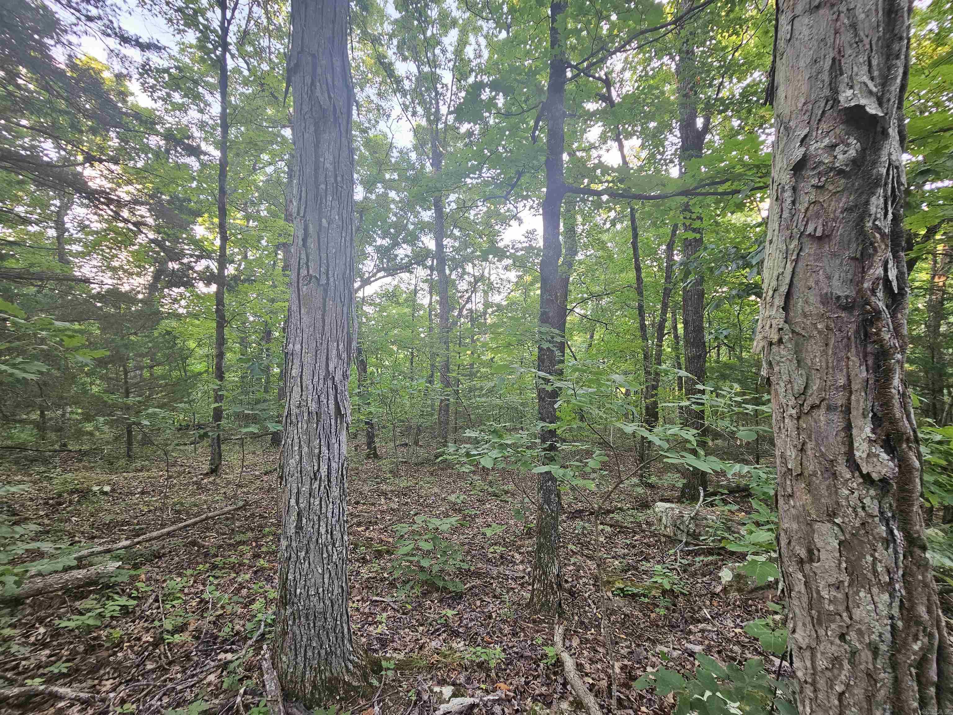 00000 Crow Drive Marshall, AR 72650-0000