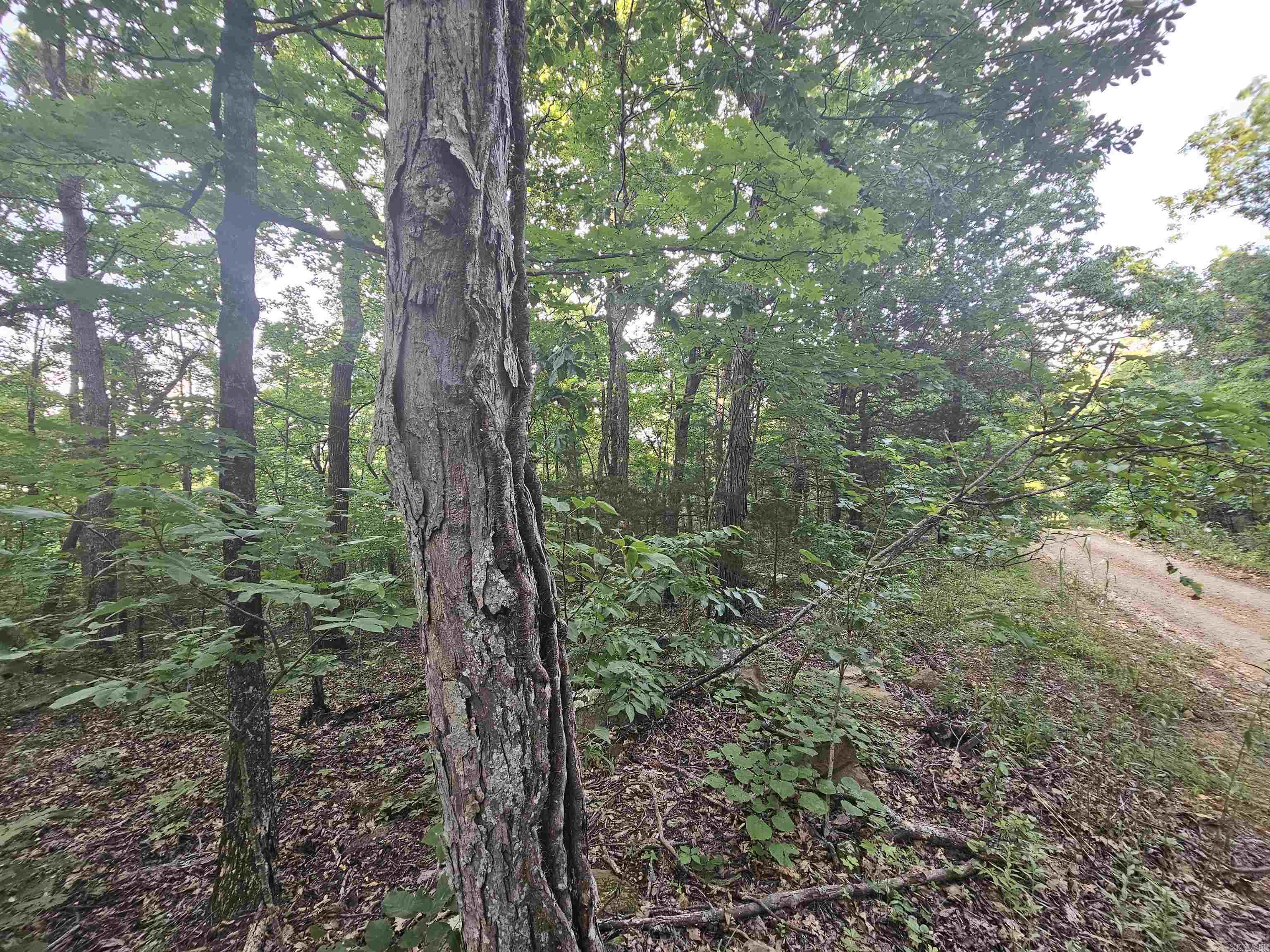 00000 Crow Drive Marshall, AR 72650-0000