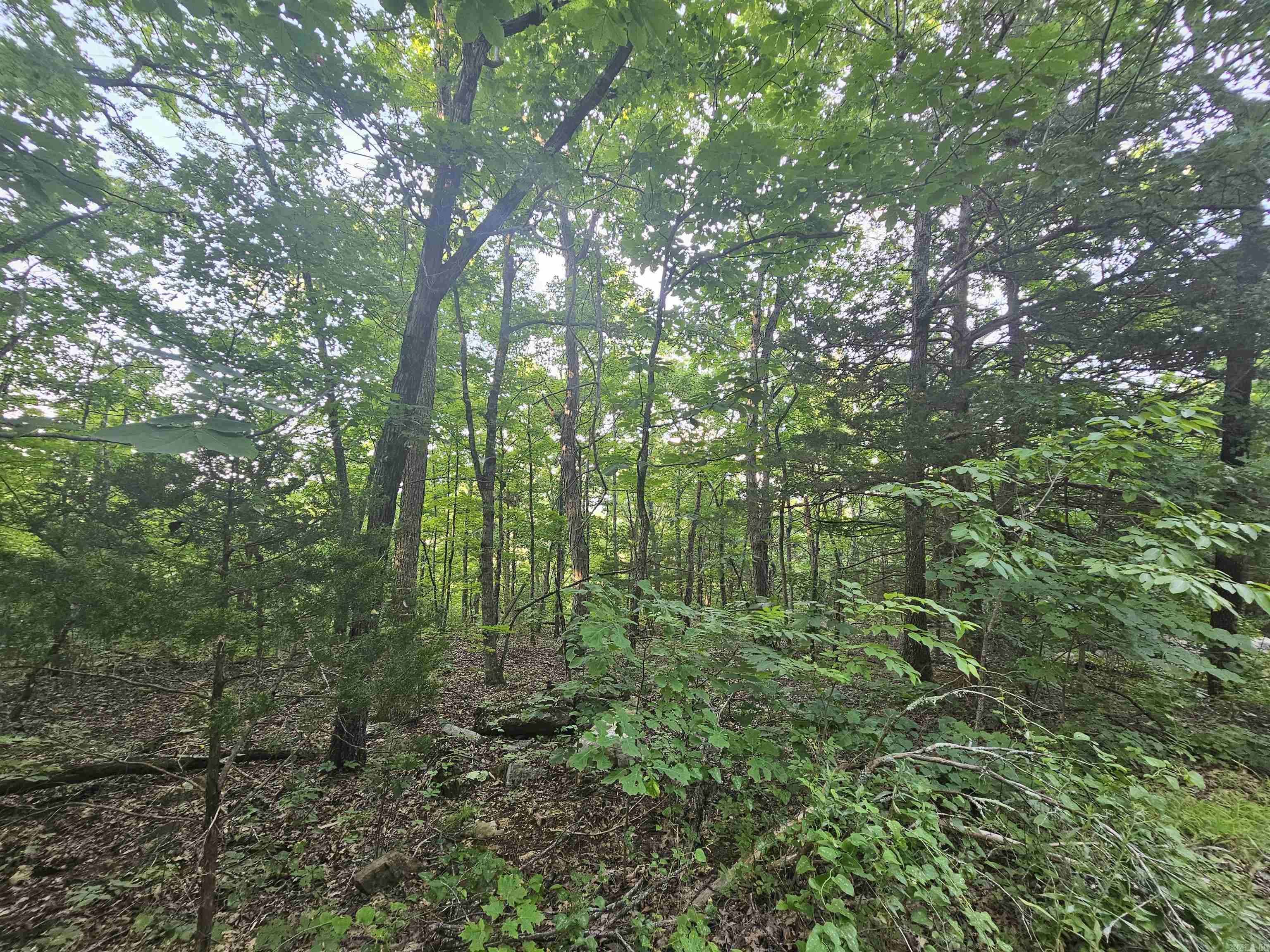 00000 Crow Drive Marshall, AR 72650-0000