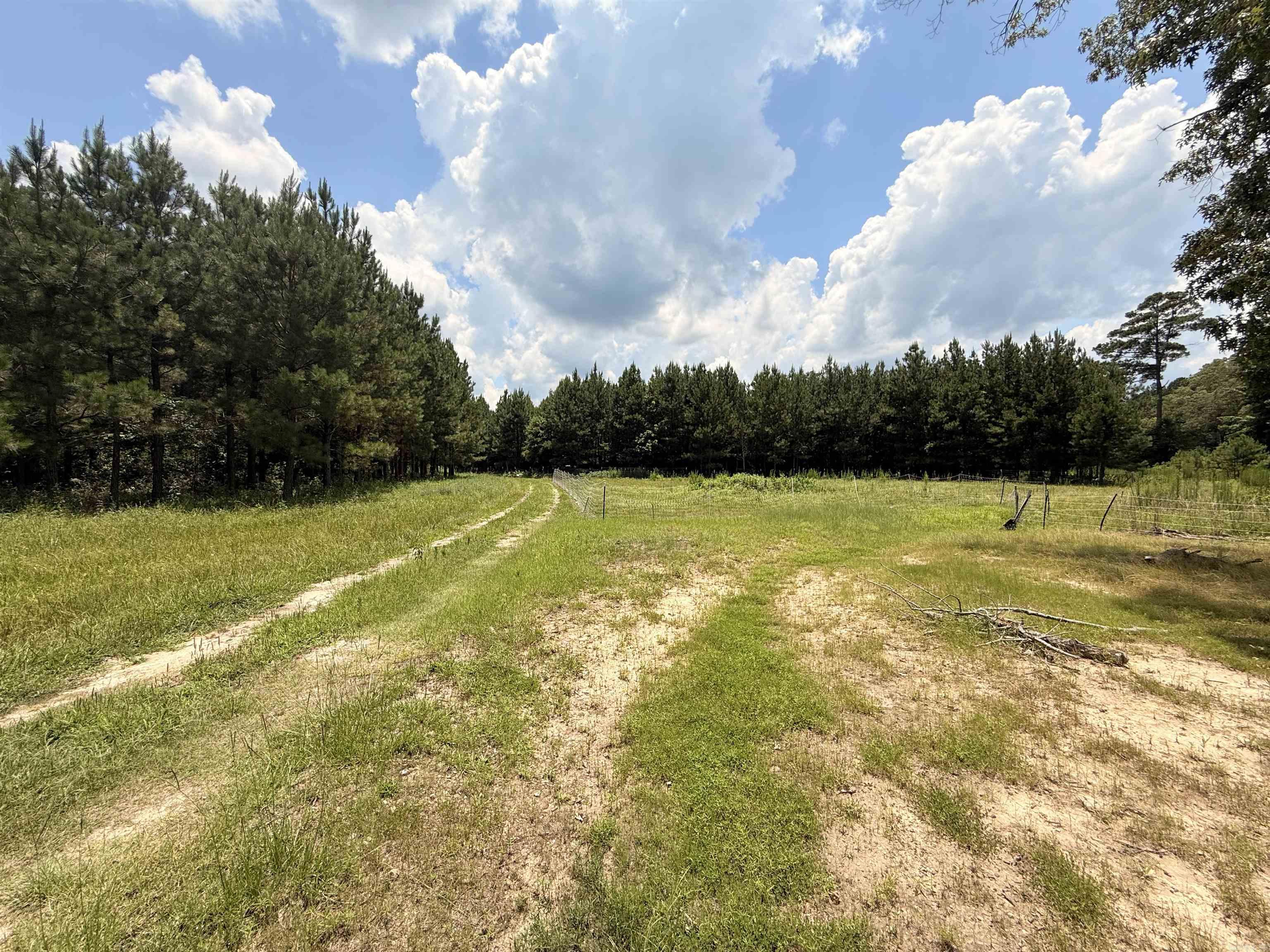  AR 172  Monticello, AR