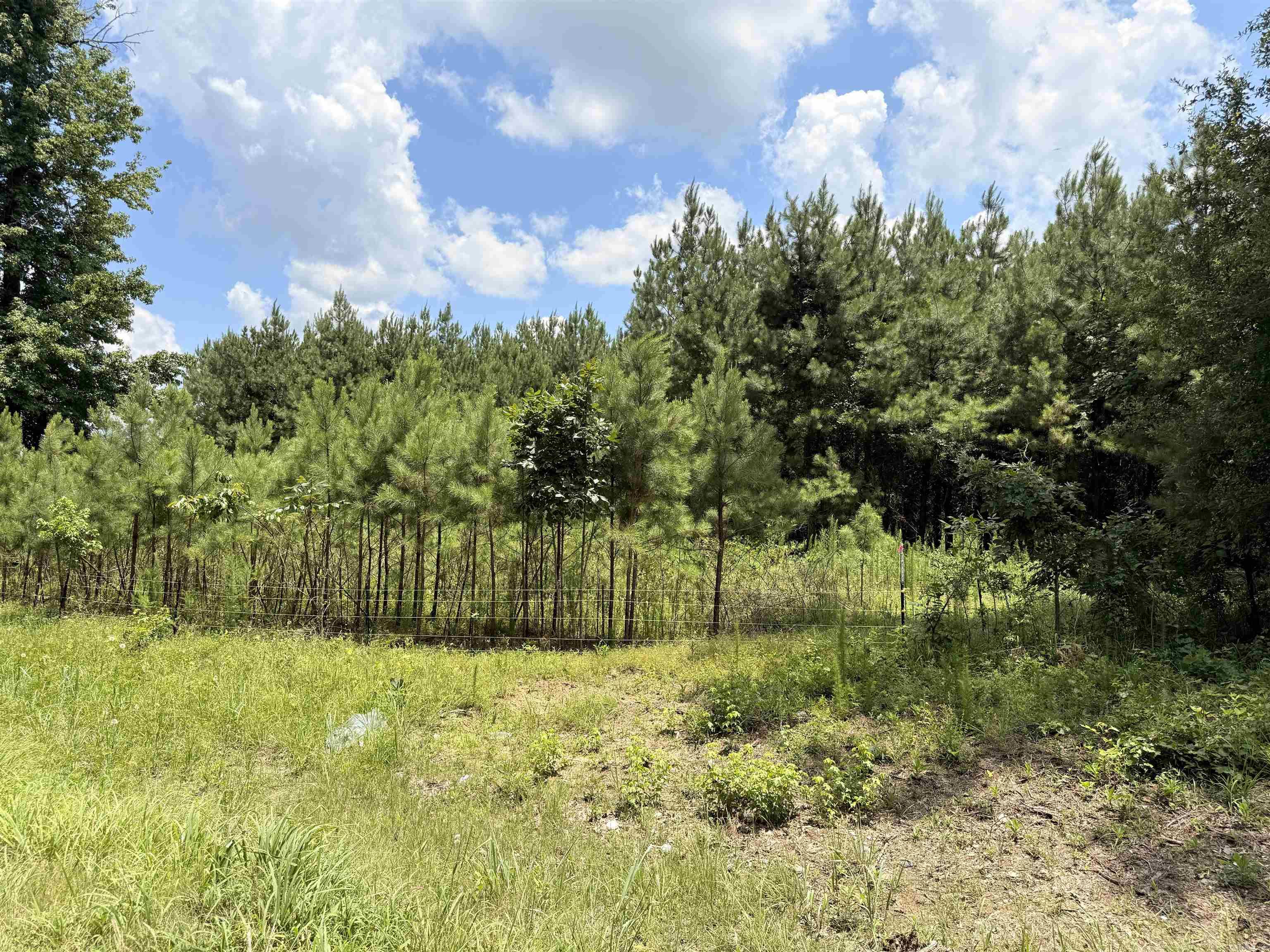  AR 172  Monticello, AR