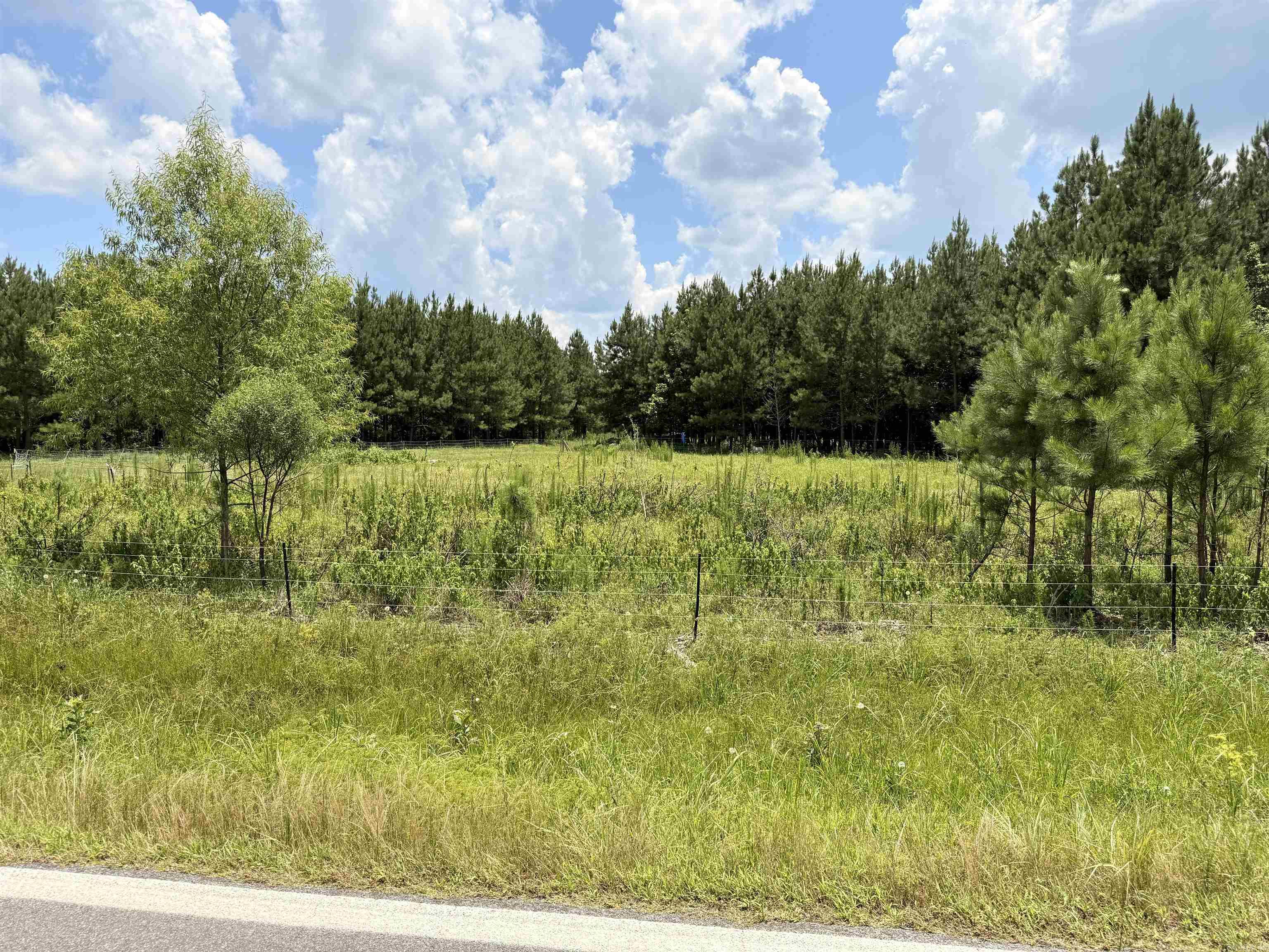  AR 172  Monticello, AR