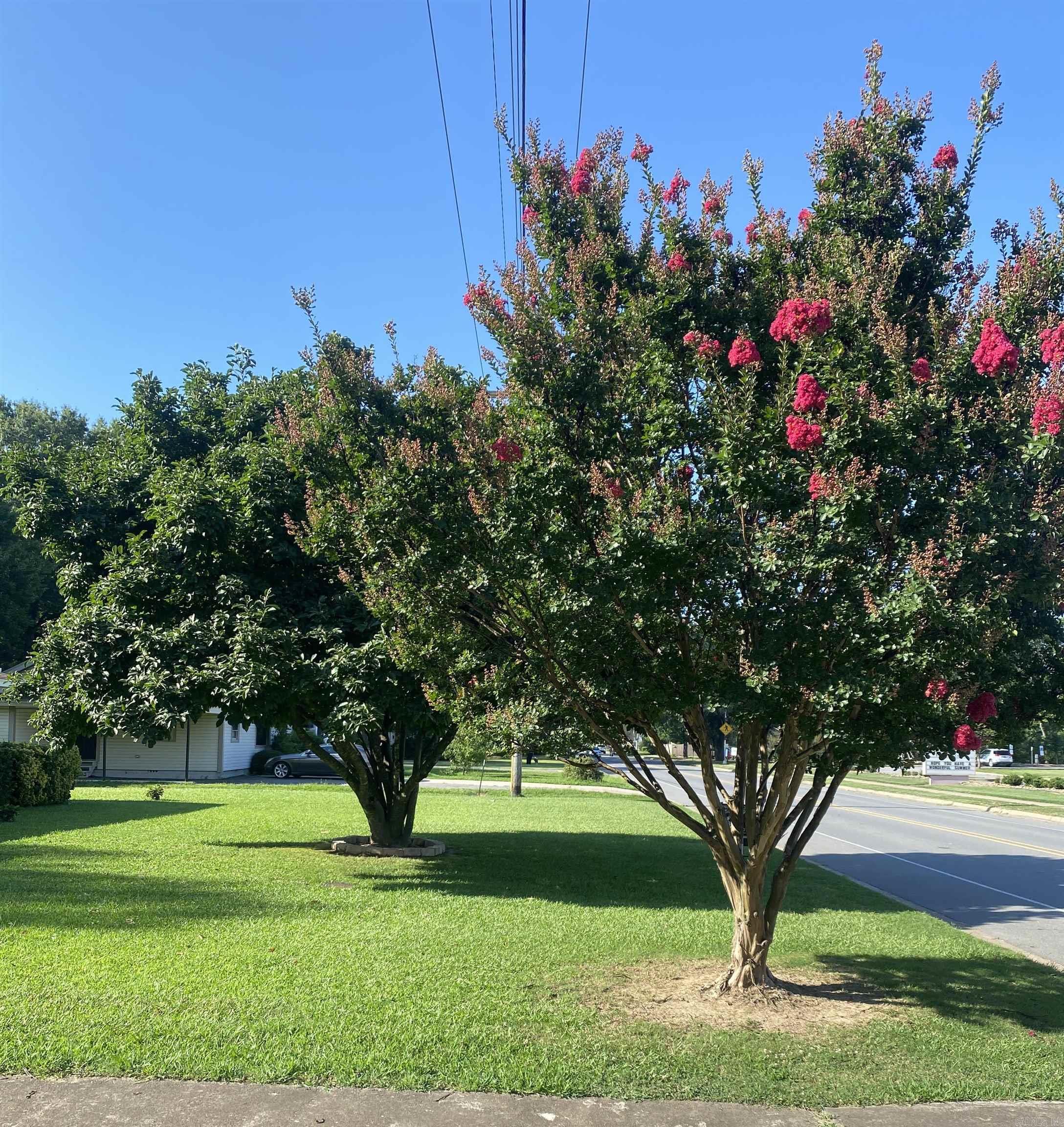 1212 Donaghey Ave.  Conway, AR
