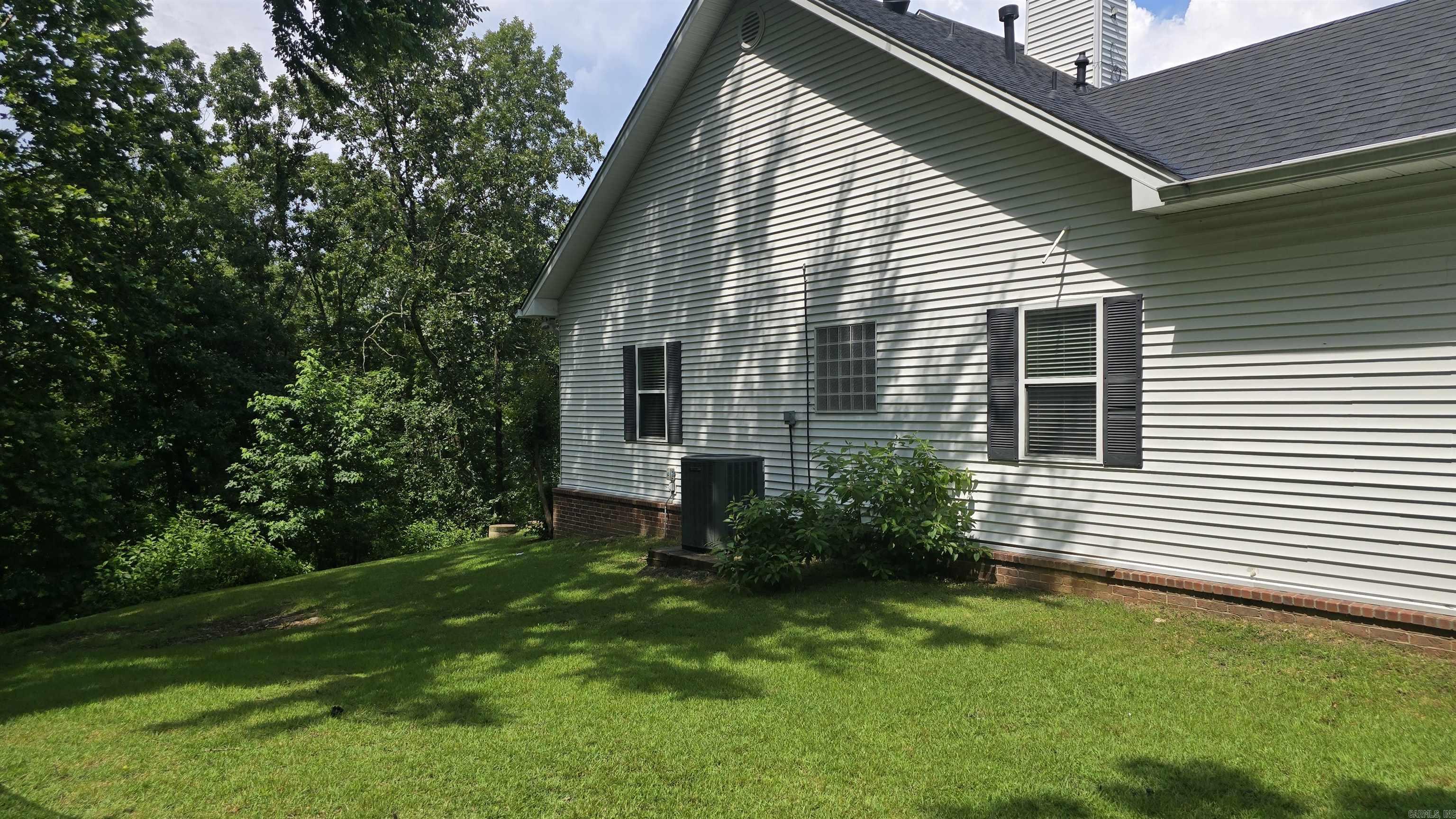 174 Bald Eagle  Paron, AR