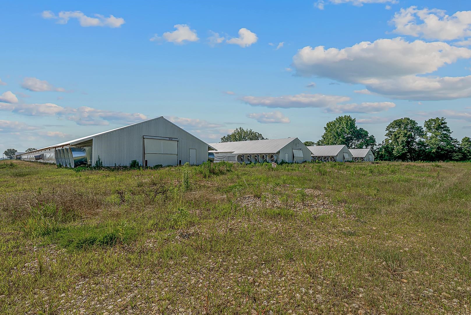 0 Clay 481  Rector, AR