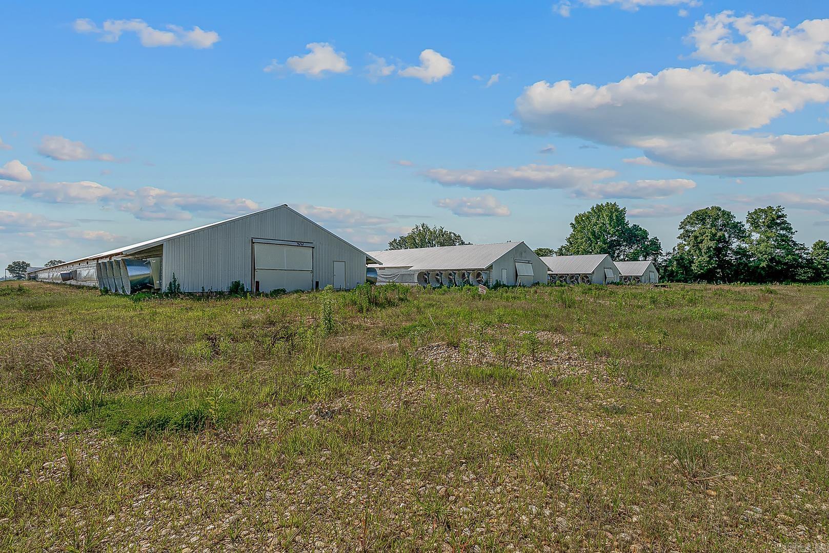 1195 Clay 481  Rector, AR
