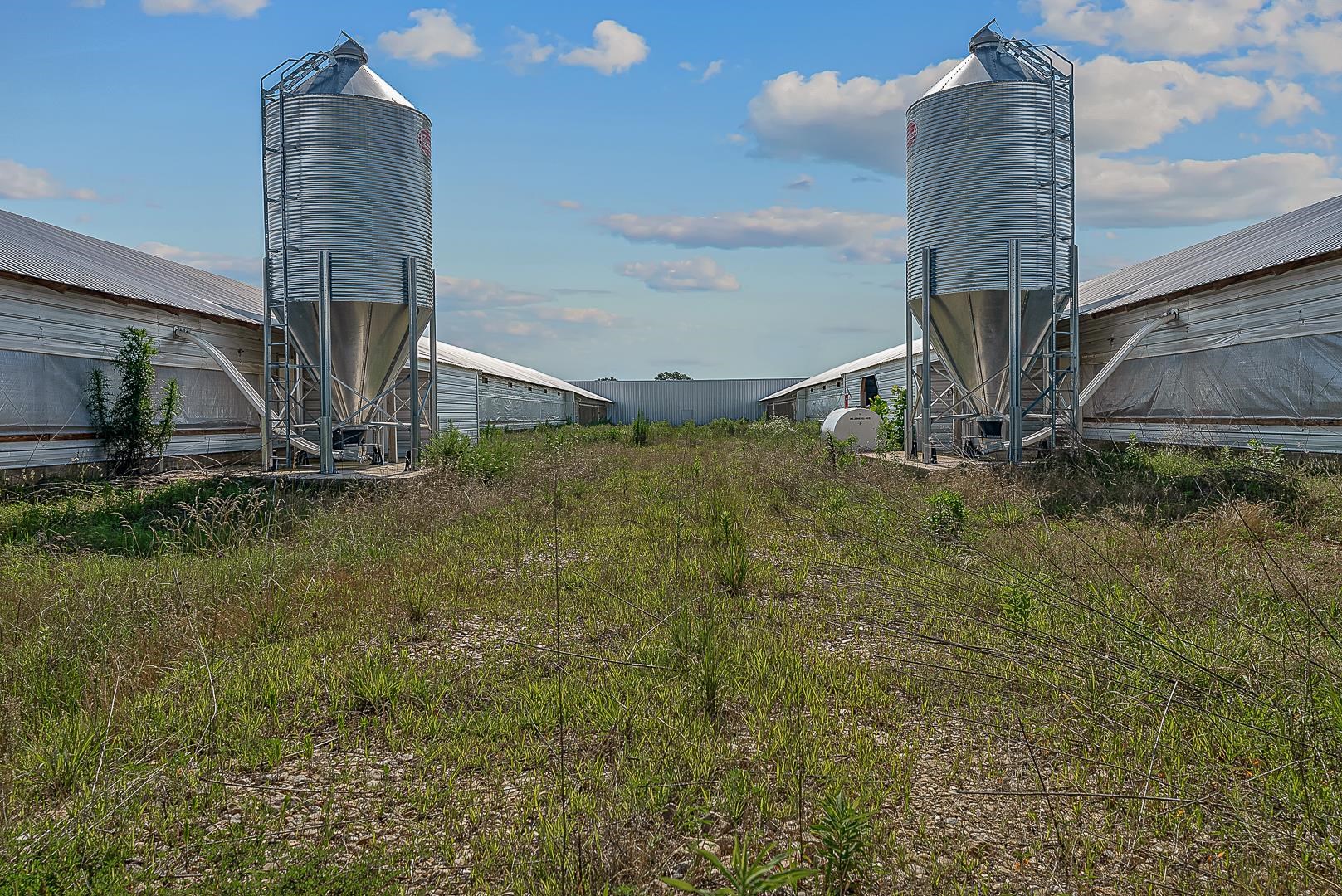 0 Clay 481  Rector, AR