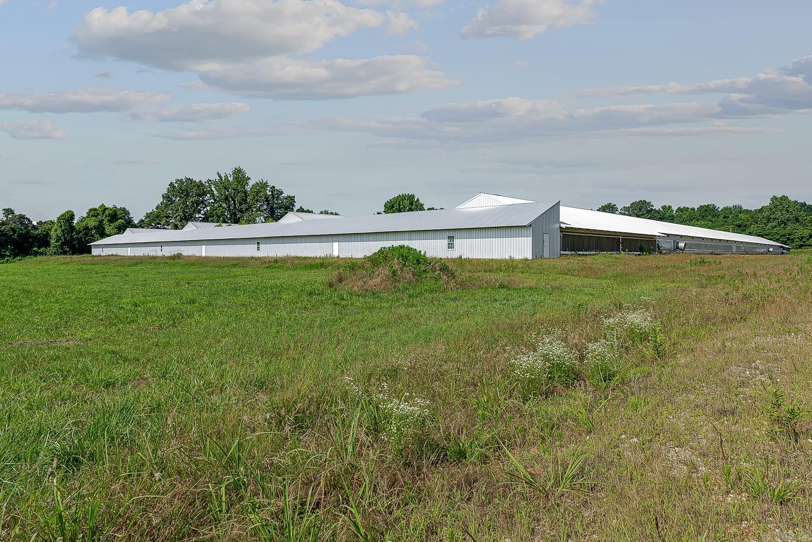 1195 Clay 481  Rector, AR