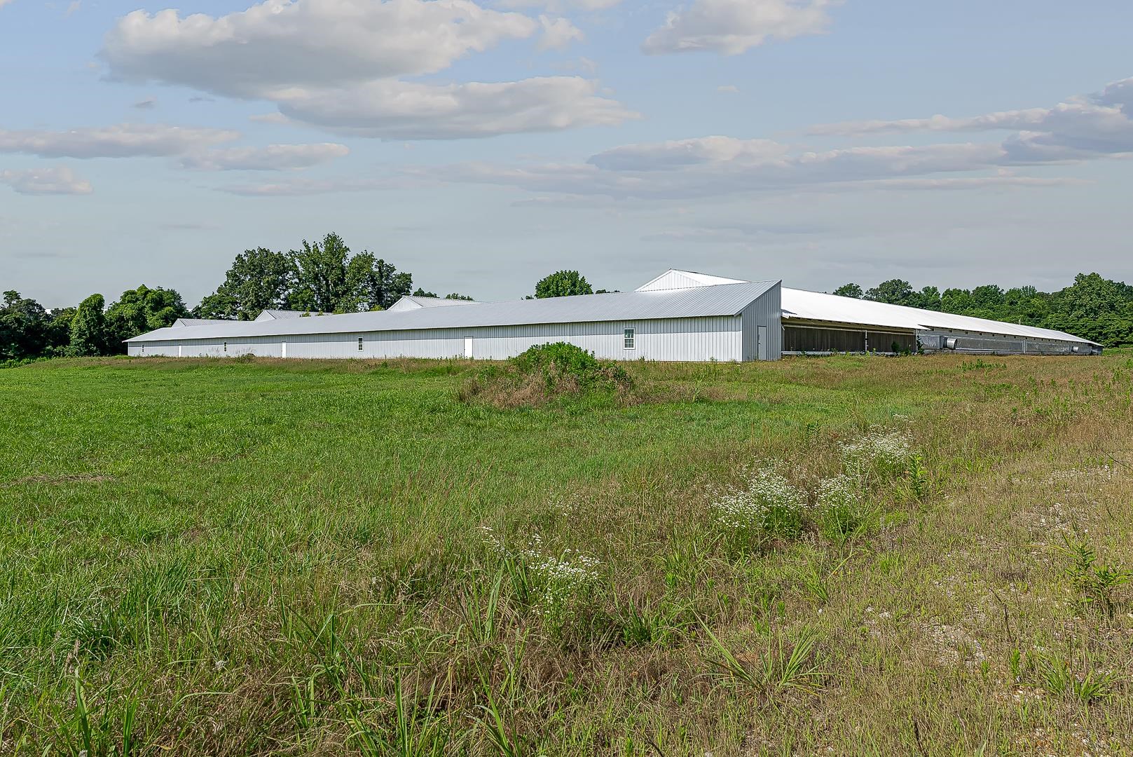 0 Clay 481  Rector, AR