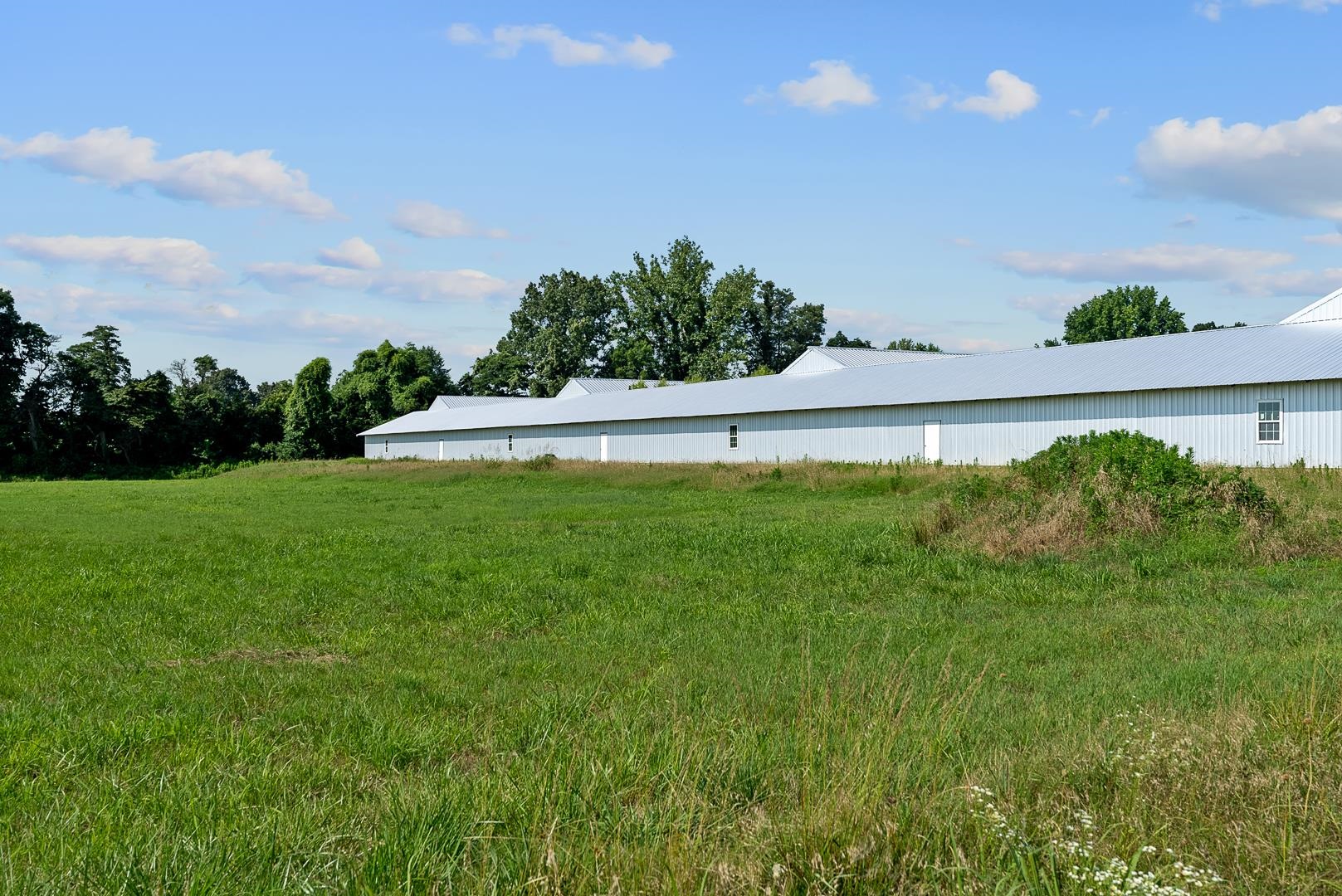 0 Clay 481  Rector, AR
