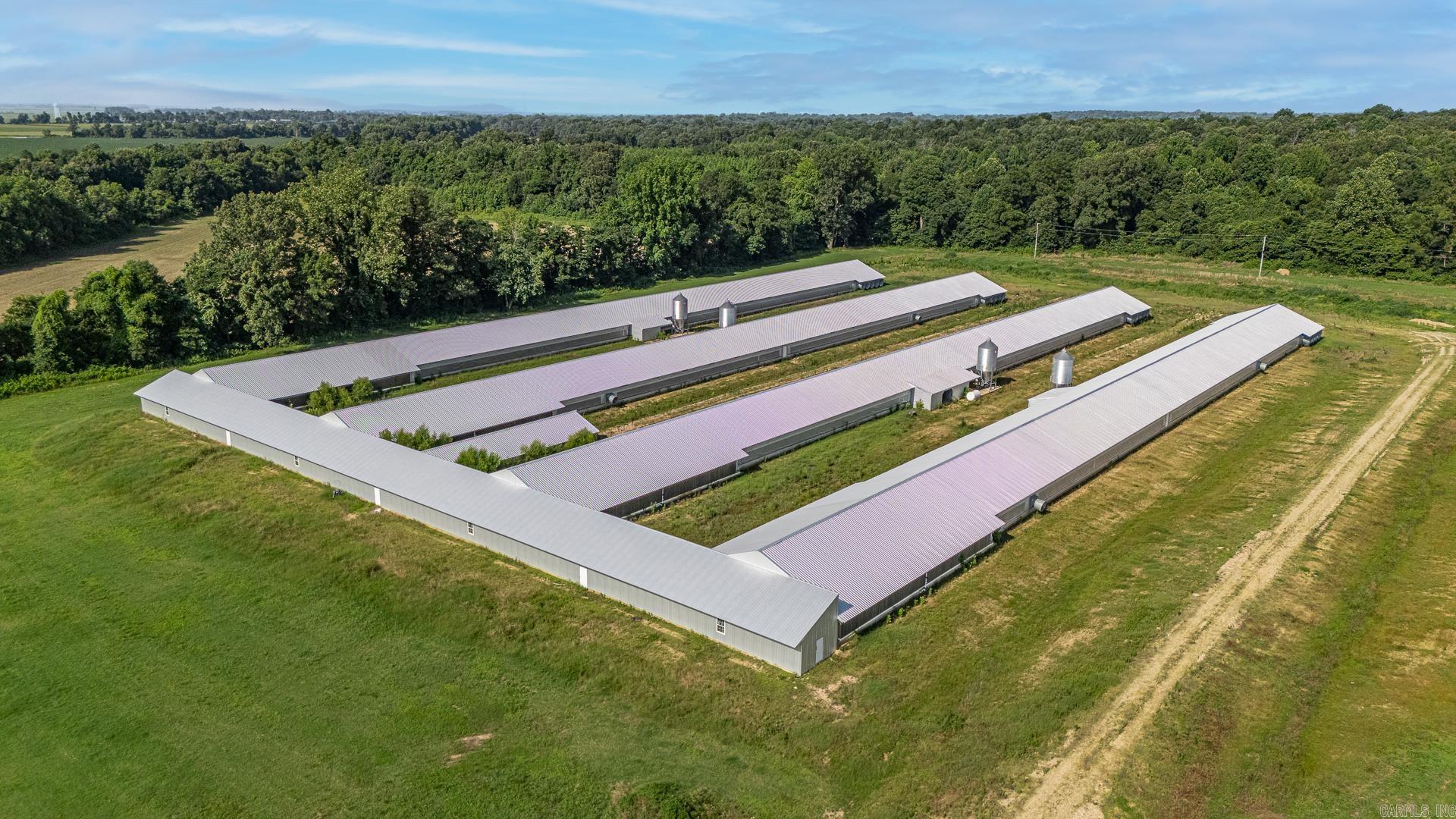 1195 Clay 481  Rector, AR