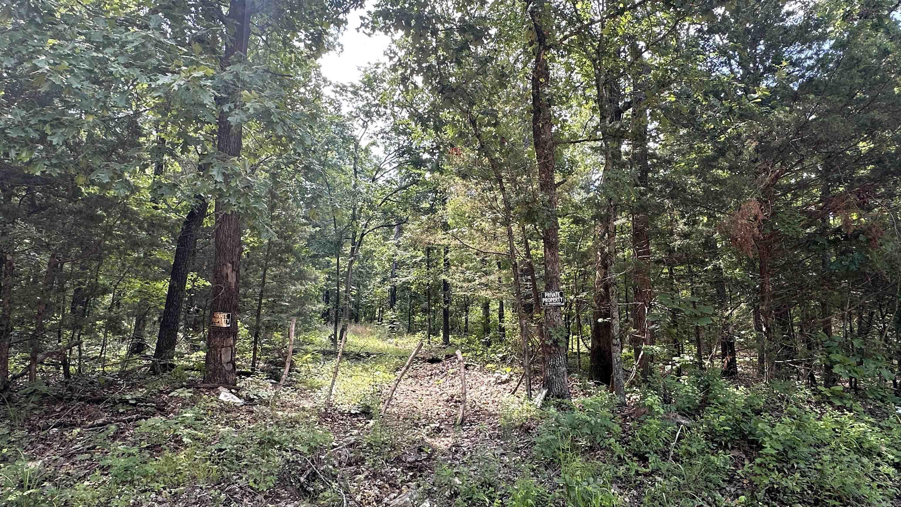 000 E. Campground Rd.  Ash Flat, AR