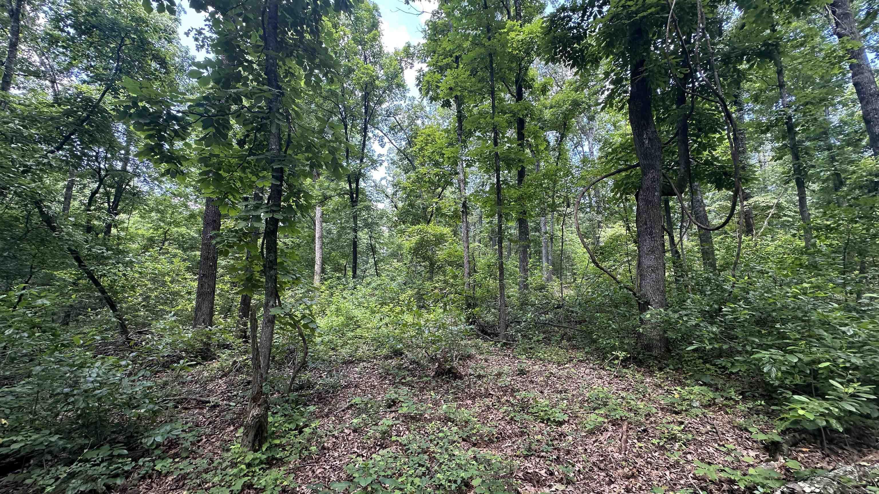 000 E. Campground Rd.  Ash Flat, AR