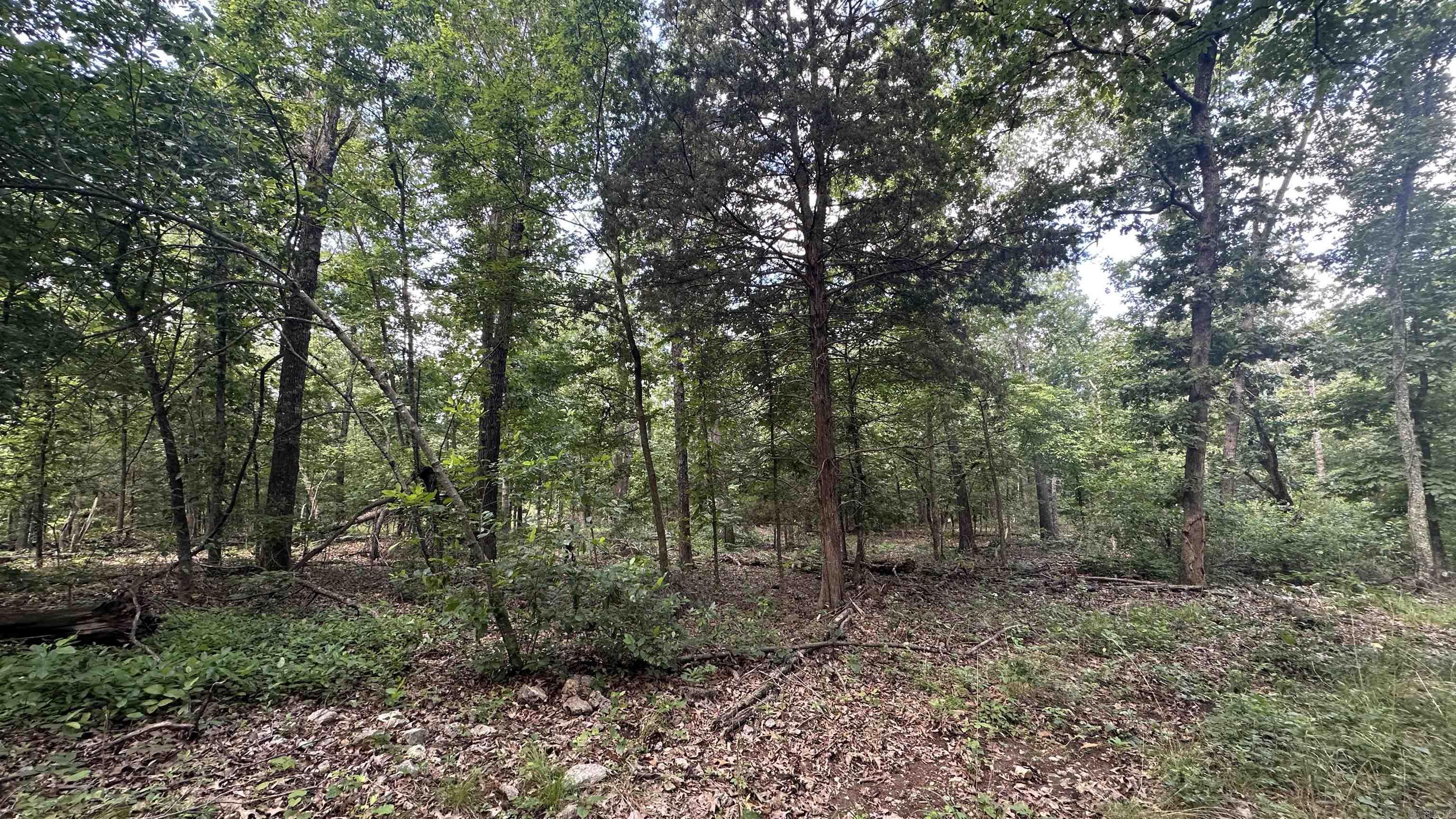 000 E. Campground Rd.  Ash Flat, AR