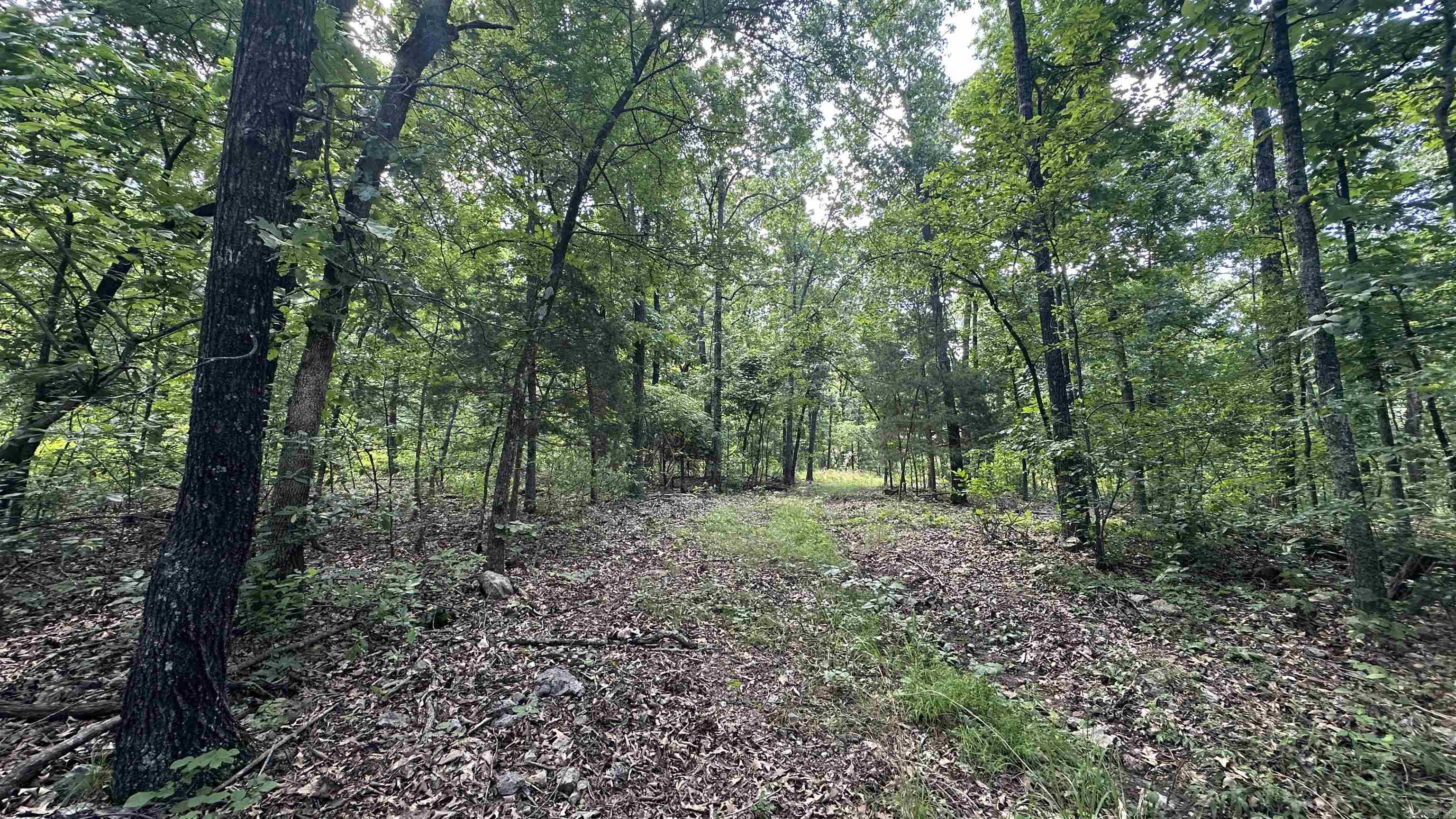 000 E. Campground Rd.  Ash Flat, AR
